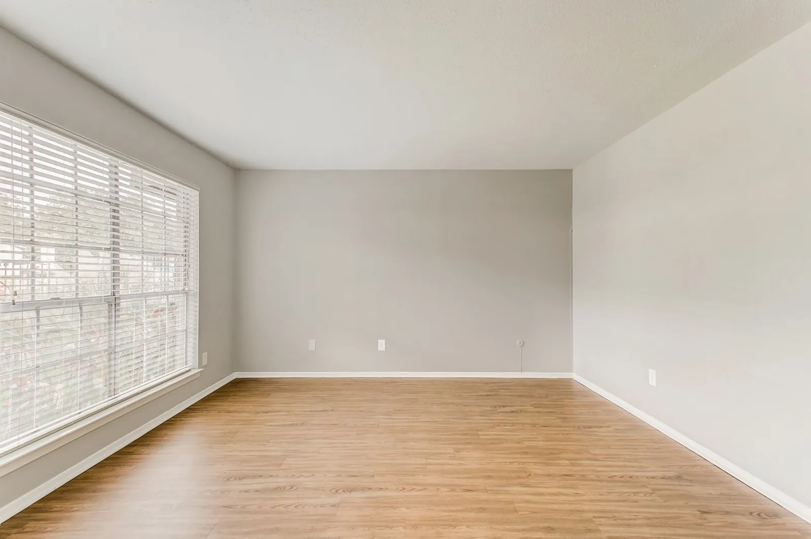 Wood-finish flooring, neutral wall tones, and a large window with blinds