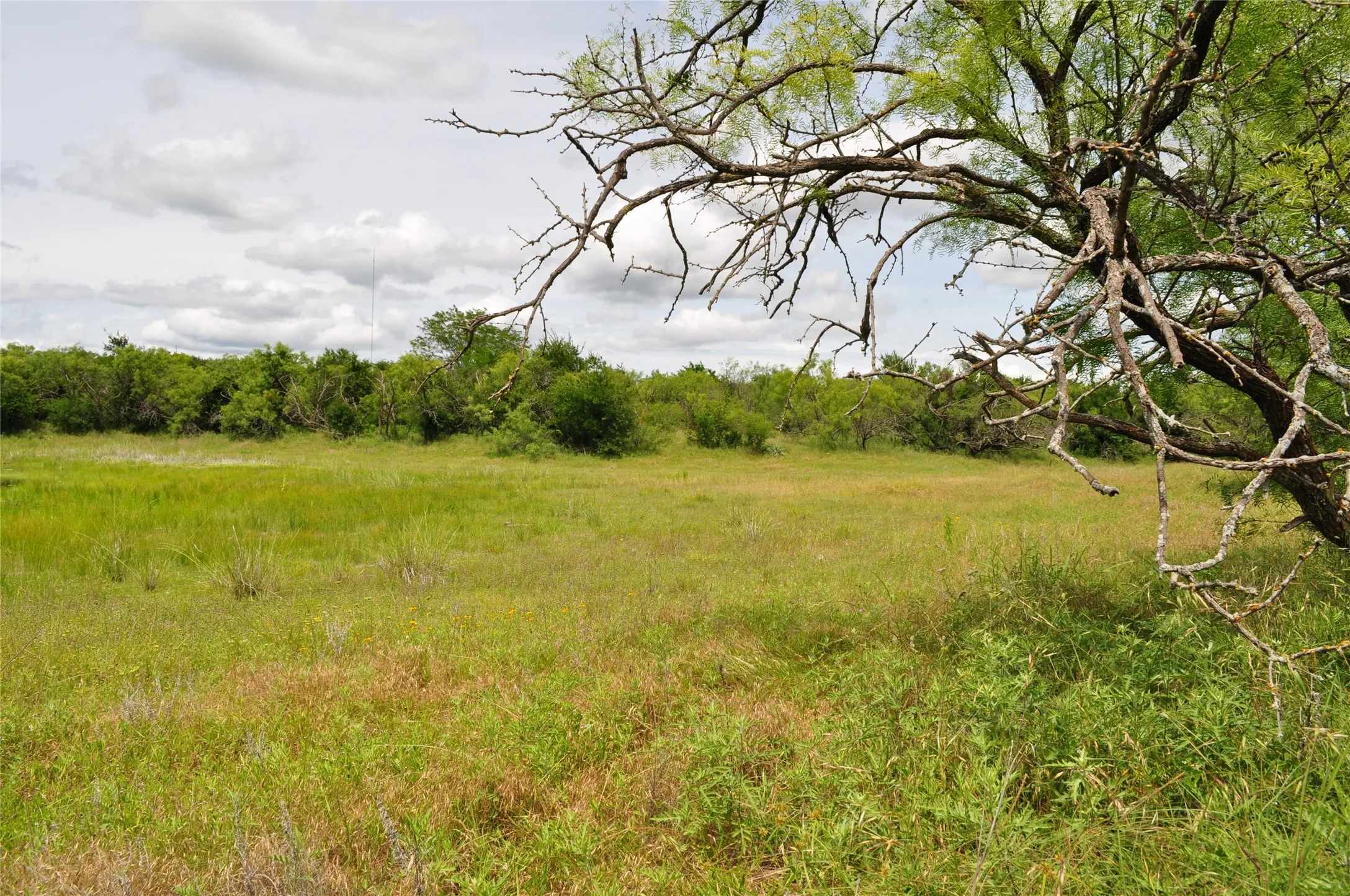Unimproved Land For Sale in Jack County , TBD B Two Bush Road, Perrin, Texas 76486, 0, 0, Garage spaces, 0 Sqft, built in 0, mls#21407605, Real Estate Agent in Perrin, Homes For Sale in Jack county, Homes For Sale in Perrin, Realtor in Perrin Texas, Real Estate Brokerage Independent Realty Texas, Luminita Cordes Realtor