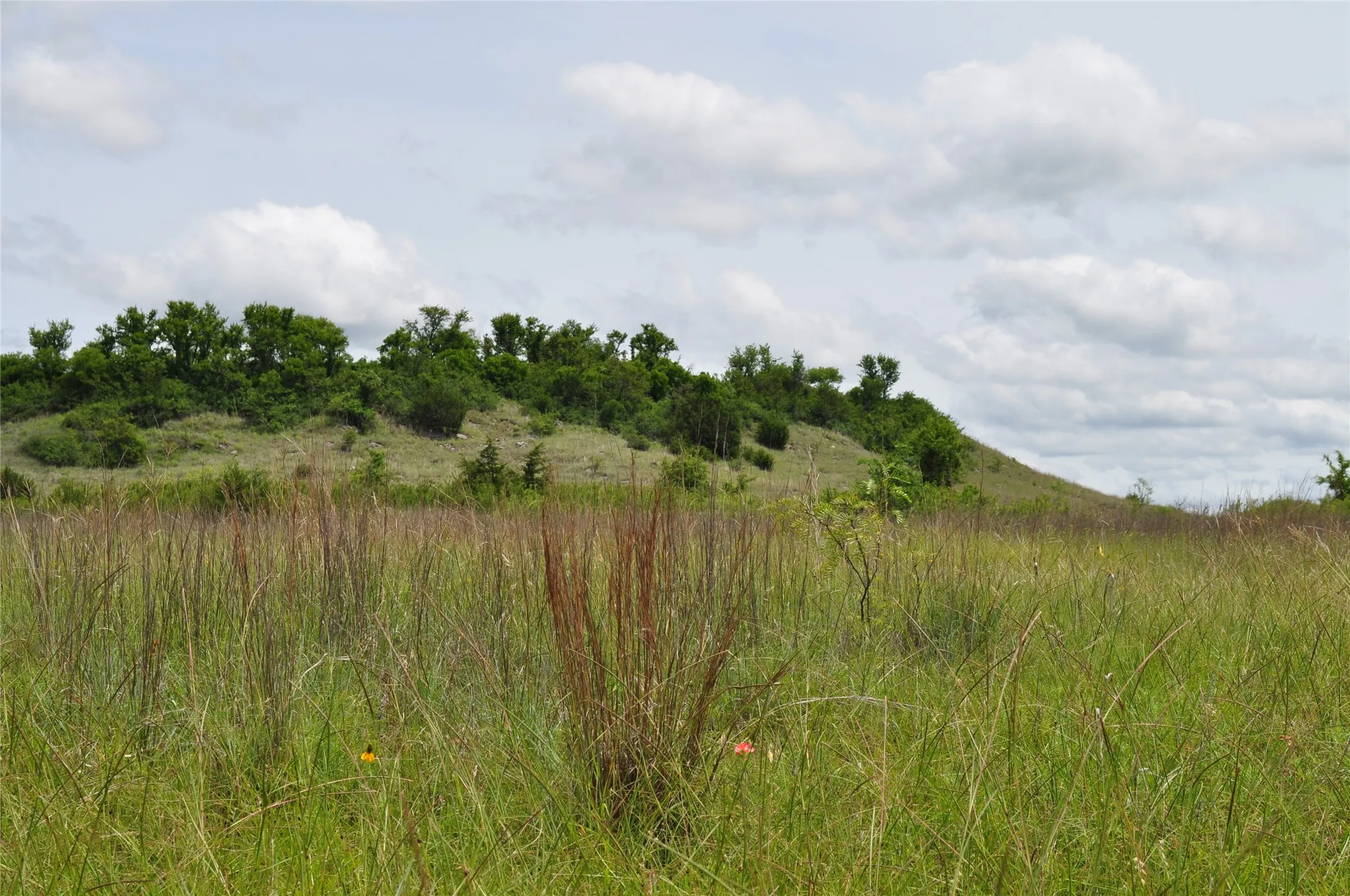 Unimproved Land For Sale in Jack County , TBD B Two Bush Road, Perrin, Texas 76486, 0, 0, Garage spaces, 0 Sqft, built in 0, mls#21407605, Real Estate Agent in Perrin, Homes For Sale in Jack county, Homes For Sale in Perrin, Realtor in Perrin Texas, Real Estate Brokerage Independent Realty Texas, Luminita Cordes Realtor