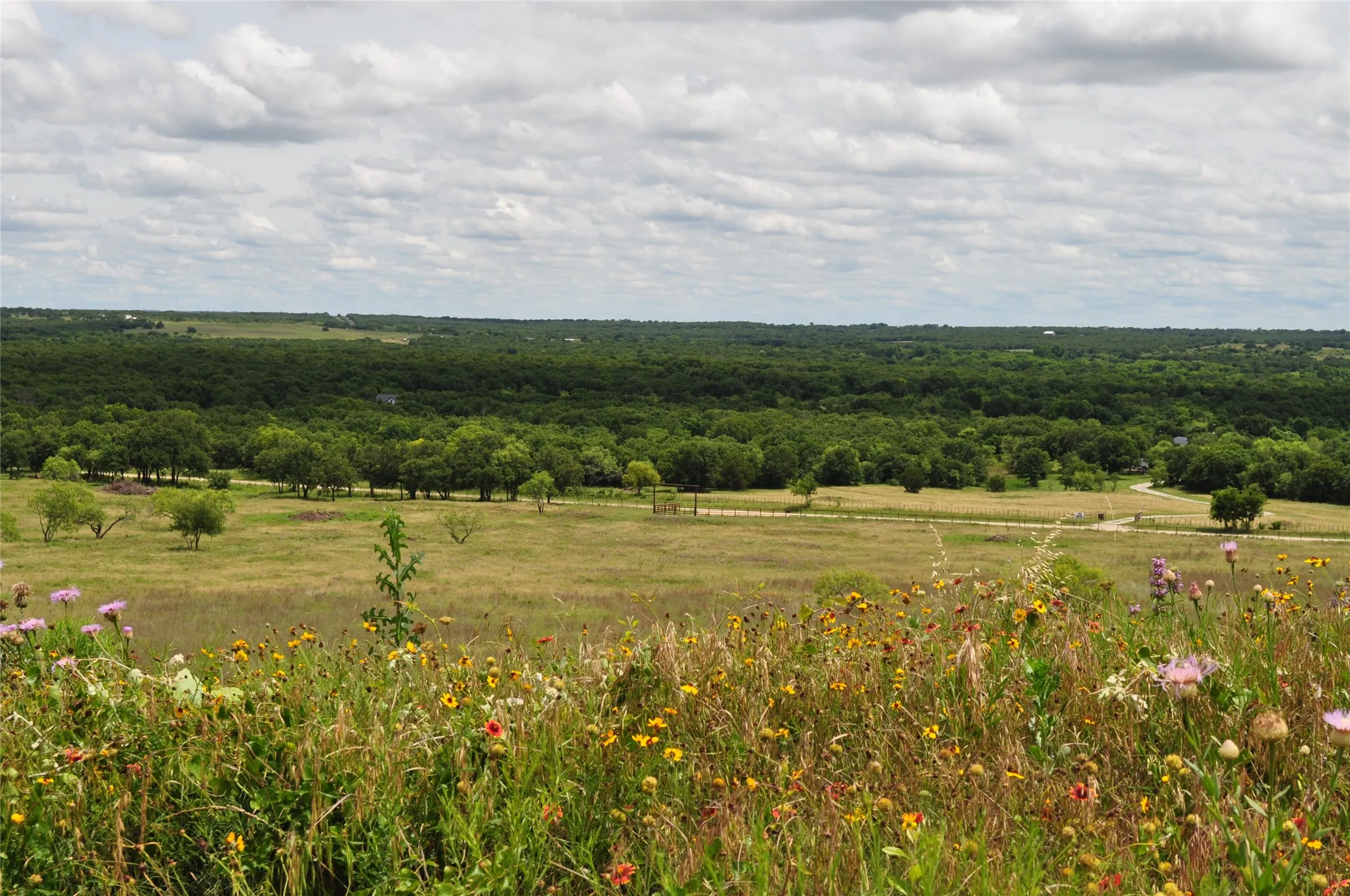 Unimproved Land For Sale in Jack County , TBD B Two Bush Road, Perrin, Texas 76486, 0, 0, Garage spaces, 0 Sqft, built in 0, mls#21407605, Real Estate Agent in Perrin, Homes For Sale in Jack county, Homes For Sale in Perrin, Realtor in Perrin Texas, Real Estate Brokerage Independent Realty Texas, Luminita Cordes Realtor