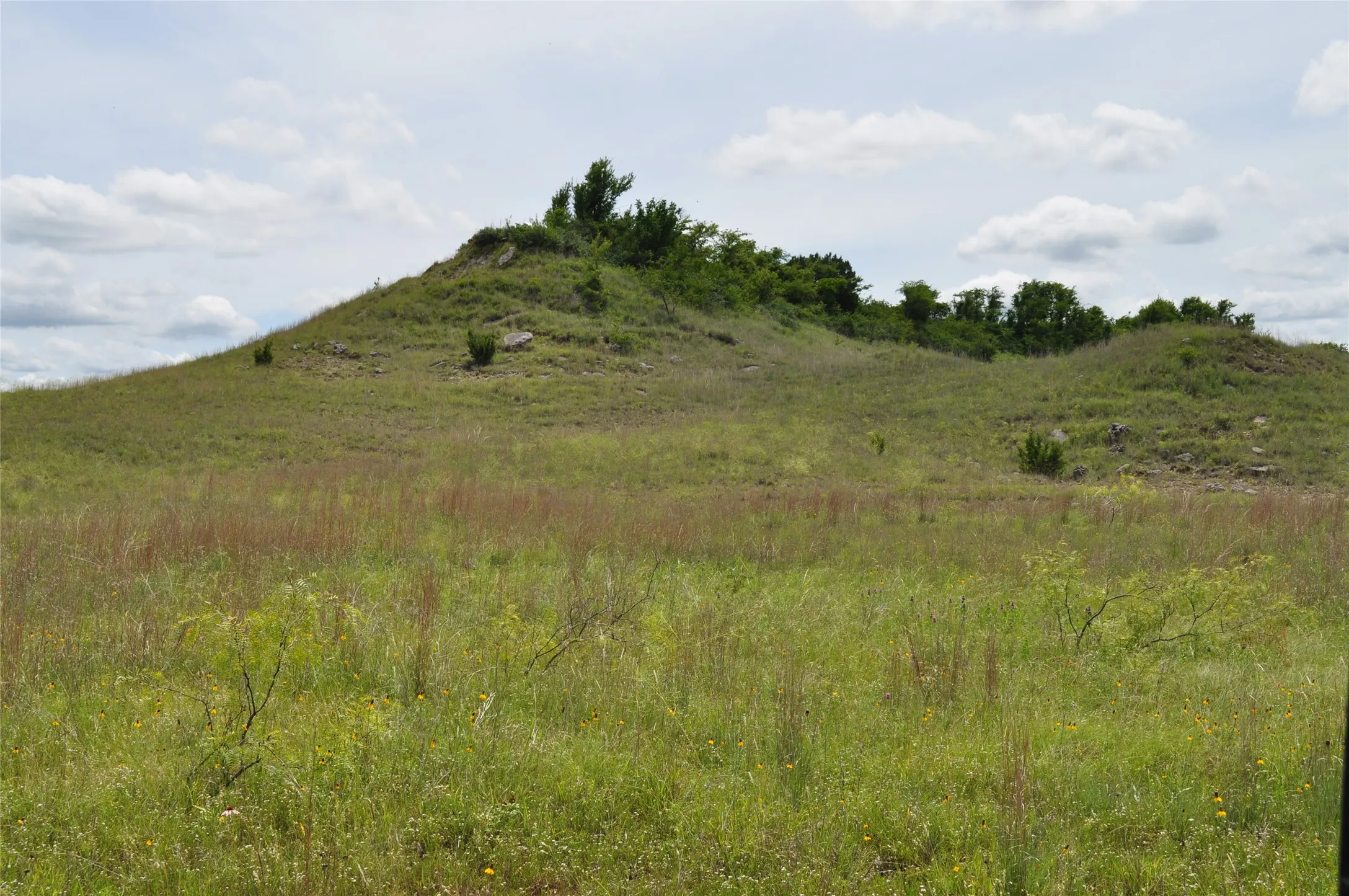 Unimproved Land For Sale in Jack County , TBD B Two Bush Road, Perrin, Texas 76486, 0, 0, Garage spaces, 0 Sqft, built in 0, mls#21407605, Real Estate Agent in Perrin, Homes For Sale in Jack county, Homes For Sale in Perrin, Realtor in Perrin Texas, Real Estate Brokerage Independent Realty Texas, Luminita Cordes Realtor