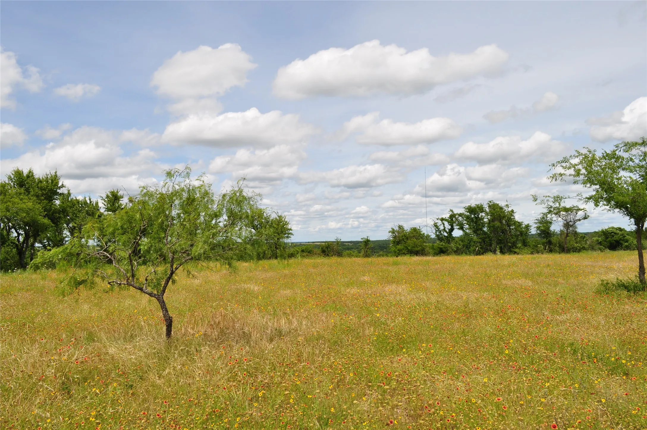 Unimproved Land For Sale in Jack County , TBD B Two Bush Road, Perrin, Texas 76486, 0, 0, Garage spaces, 0 Sqft, built in 0, mls#21407605, Real Estate Agent in Perrin, Homes For Sale in Jack county, Homes For Sale in Perrin, Realtor in Perrin Texas, Real Estate Brokerage Independent Realty Texas, Luminita Cordes Realtor