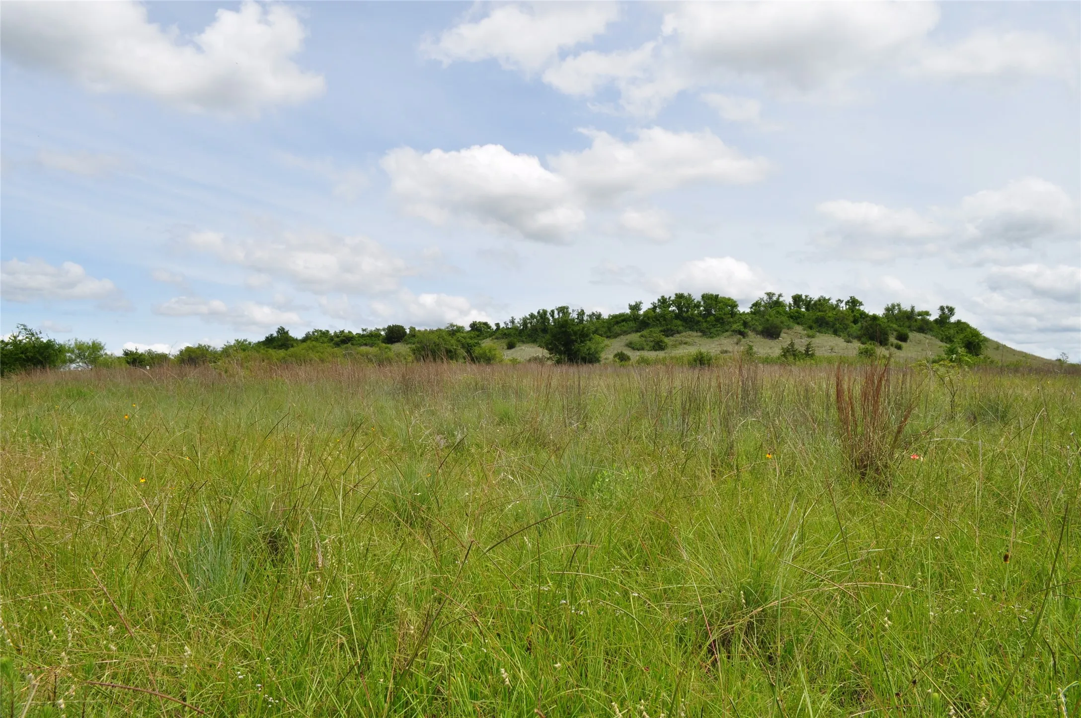 Unimproved Land For Sale in Jack County , TBD C Two Bush Road, Perrin, Texas 76486, 0, 0, Garage spaces, 0 Sqft, built in 0, mls#21407612, Real Estate Agent in Perrin, Homes For Sale in Jack county, Homes For Sale in Perrin, Realtor in Perrin Texas, Real Estate Brokerage Independent Realty Texas, Luminita Cordes Realtor