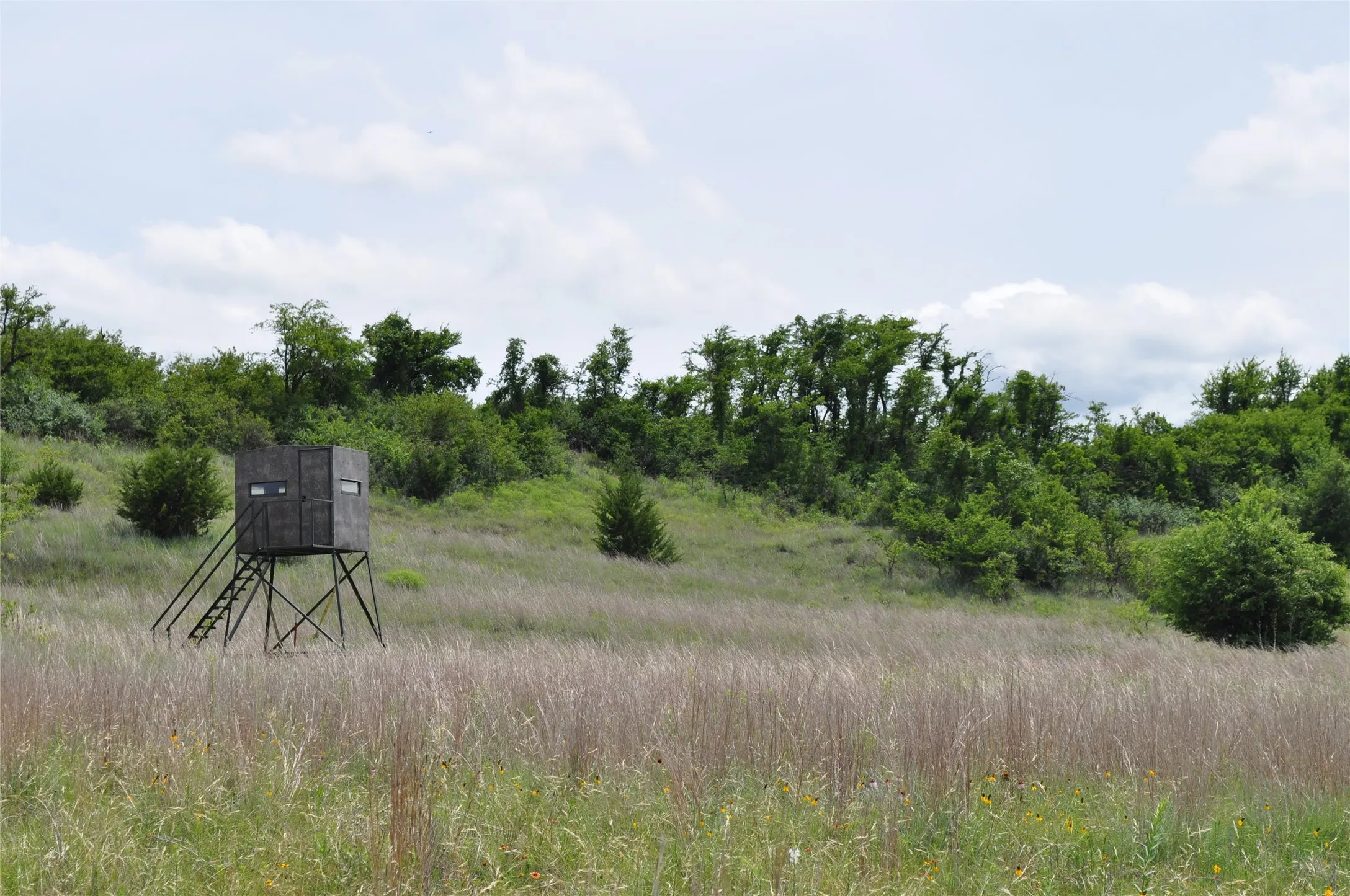 Unimproved Land For Sale in Jack County , TBD C Two Bush Road, Perrin, Texas 76486, 0, 0, Garage spaces, 0 Sqft, built in 0, mls#21407612, Real Estate Agent in Perrin, Homes For Sale in Jack county, Homes For Sale in Perrin, Realtor in Perrin Texas, Real Estate Brokerage Independent Realty Texas, Luminita Cordes Realtor