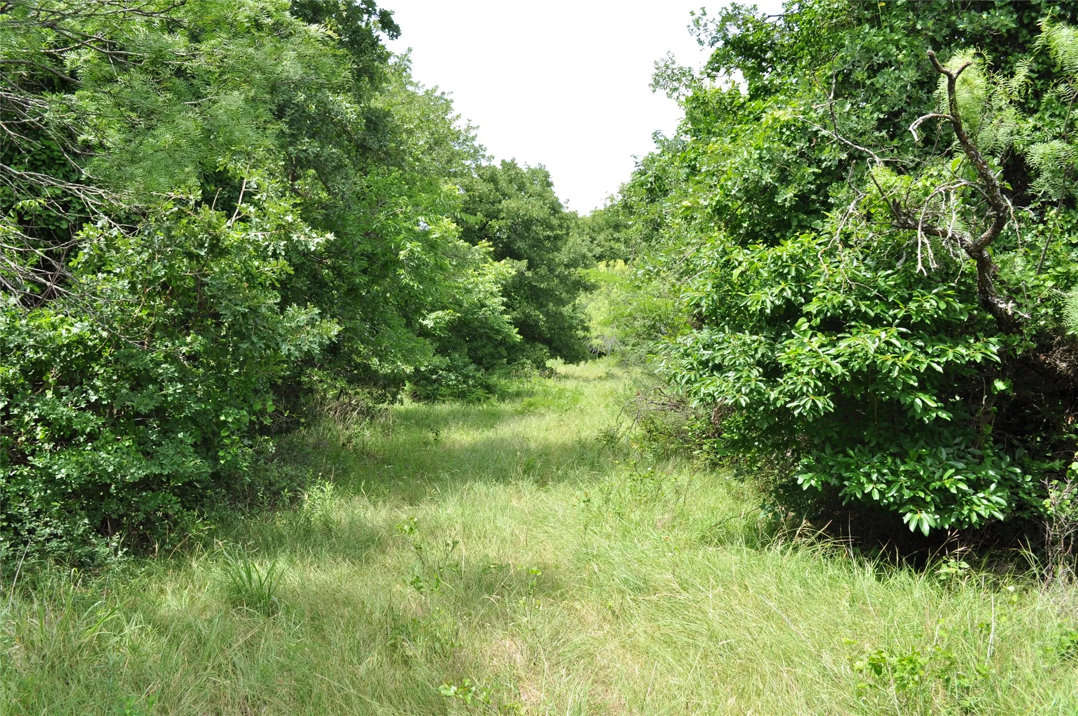 Unimproved Land For Sale in Jack County , TBD C Two Bush Road, Perrin, Texas 76486, 0, 0, Garage spaces, 0 Sqft, built in 0, mls#21407612, Real Estate Agent in Perrin, Homes For Sale in Jack county, Homes For Sale in Perrin, Realtor in Perrin Texas, Real Estate Brokerage Independent Realty Texas, Luminita Cordes Realtor