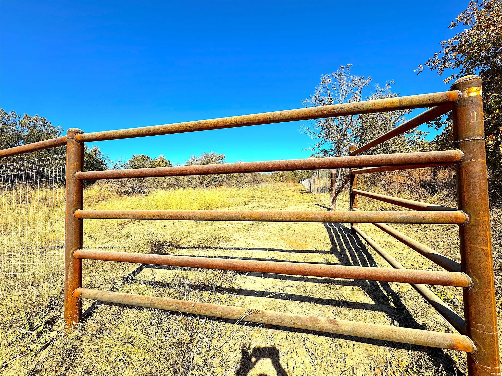 Unimproved Land For Sale in Jack County , TBD C Two Bush Road, Perrin, Texas 76486, 0, 0, Garage spaces, 0 Sqft, built in 0, mls#21407612, Real Estate Agent in Perrin, Homes For Sale in Jack county, Homes For Sale in Perrin, Realtor in Perrin Texas, Real Estate Brokerage Independent Realty Texas, Luminita Cordes Realtor
