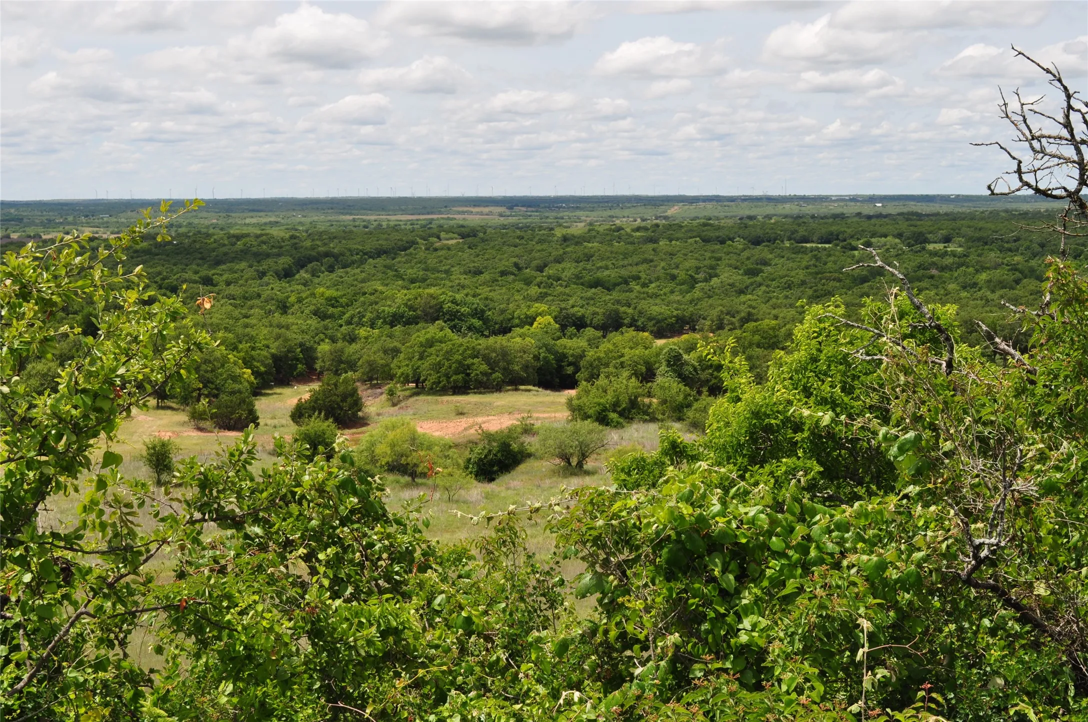 Unimproved Land For Sale in Jack County , TBD C Two Bush Road, Perrin, Texas 76486, 0, 0, Garage spaces, 0 Sqft, built in 0, mls#21407612, Real Estate Agent in Perrin, Homes For Sale in Jack county, Homes For Sale in Perrin, Realtor in Perrin Texas, Real Estate Brokerage Independent Realty Texas, Luminita Cordes Realtor