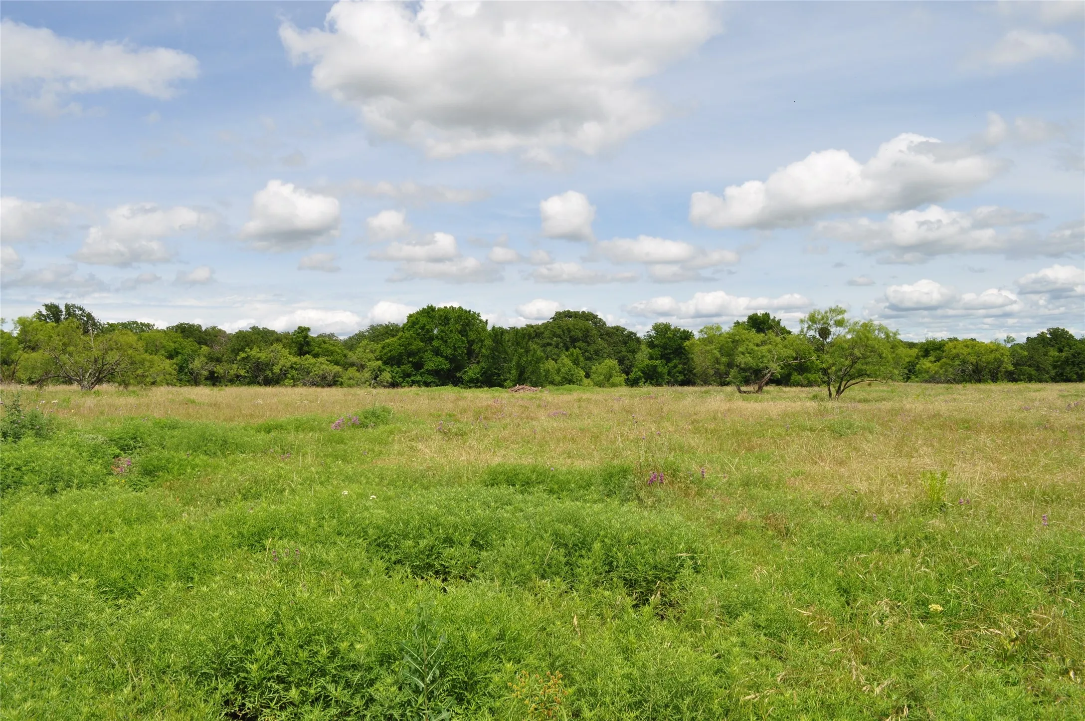 Unimproved Land For Sale in Jack County , TBD C Two Bush Road, Perrin, Texas 76486, 0, 0, Garage spaces, 0 Sqft, built in 0, mls#21407612, Real Estate Agent in Perrin, Homes For Sale in Jack county, Homes For Sale in Perrin, Realtor in Perrin Texas, Real Estate Brokerage Independent Realty Texas, Luminita Cordes Realtor