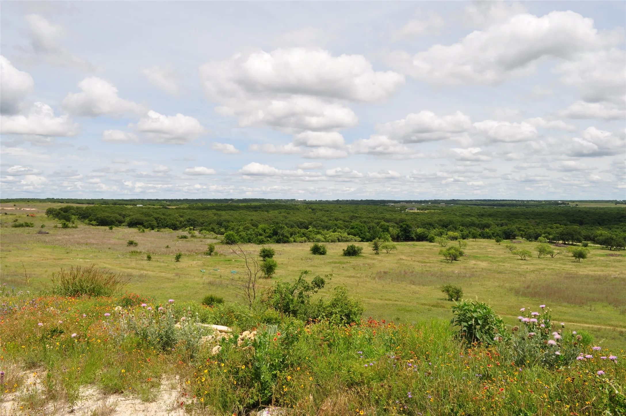 Unimproved Land For Sale in Jack County , TBD C Two Bush Road, Perrin, Texas 76486, 0, 0, Garage spaces, 0 Sqft, built in 0, mls#21407612, Real Estate Agent in Perrin, Homes For Sale in Jack county, Homes For Sale in Perrin, Realtor in Perrin Texas, Real Estate Brokerage Independent Realty Texas, Luminita Cordes Realtor