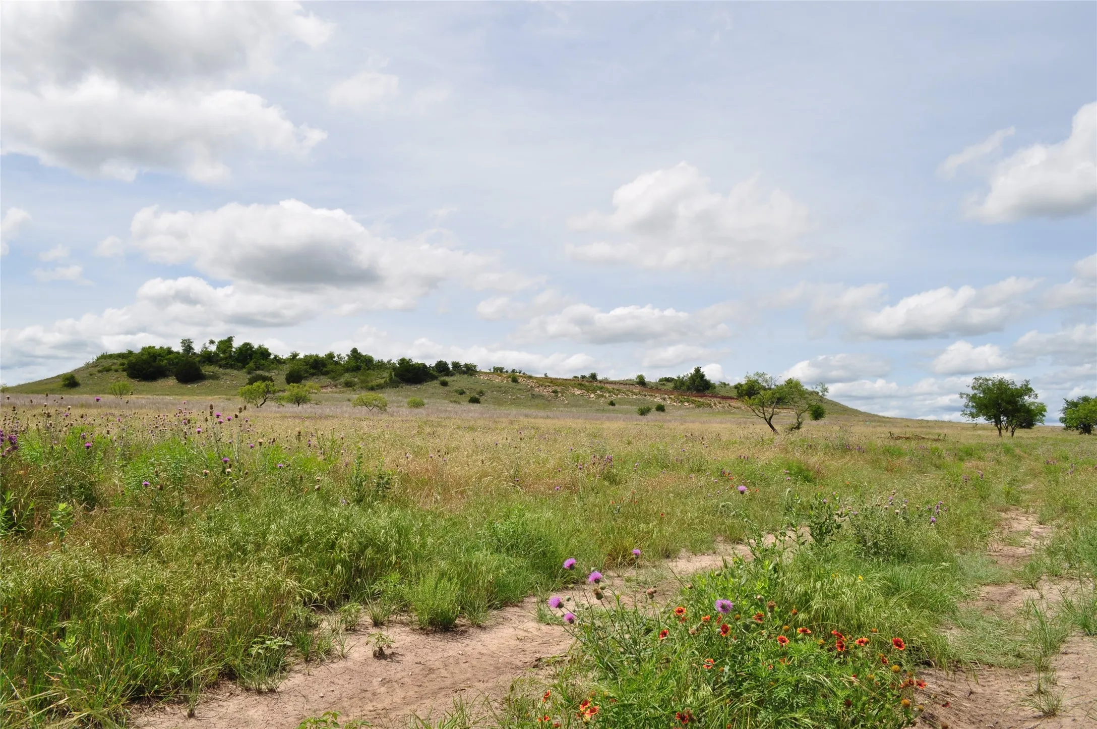 Unimproved Land For Sale in Jack County , TBD C Two Bush Road, Perrin, Texas 76486, 0, 0, Garage spaces, 0 Sqft, built in 0, mls#21407612, Real Estate Agent in Perrin, Homes For Sale in Jack county, Homes For Sale in Perrin, Realtor in Perrin Texas, Real Estate Brokerage Independent Realty Texas, Luminita Cordes Realtor