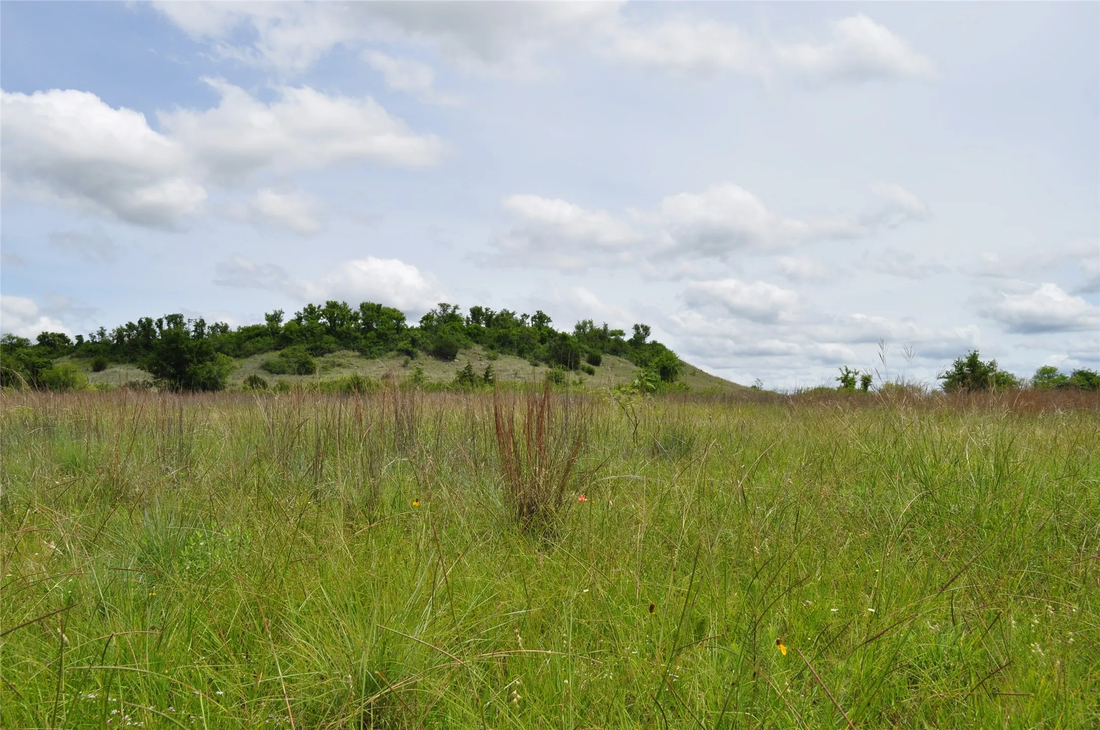 Unimproved Land For Sale in Jack County , TBD C Two Bush Road, Perrin, Texas 76486, 0, 0, Garage spaces, 0 Sqft, built in 0, mls#21407612, Real Estate Agent in Perrin, Homes For Sale in Jack county, Homes For Sale in Perrin, Realtor in Perrin Texas, Real Estate Brokerage Independent Realty Texas, Luminita Cordes Realtor