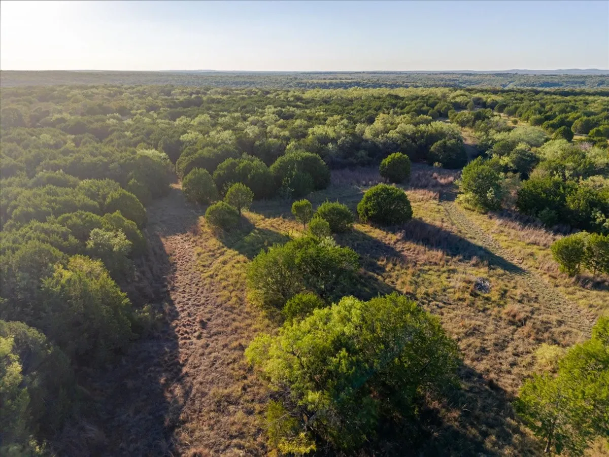 Expansive property featuring dense tree coverage and open grassy areas