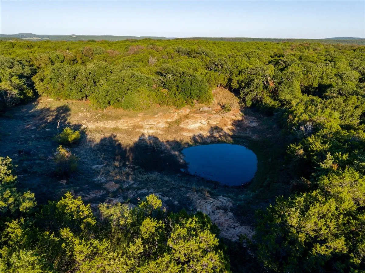 Stock tank surrounded by dense, mature trees and varied vegetation