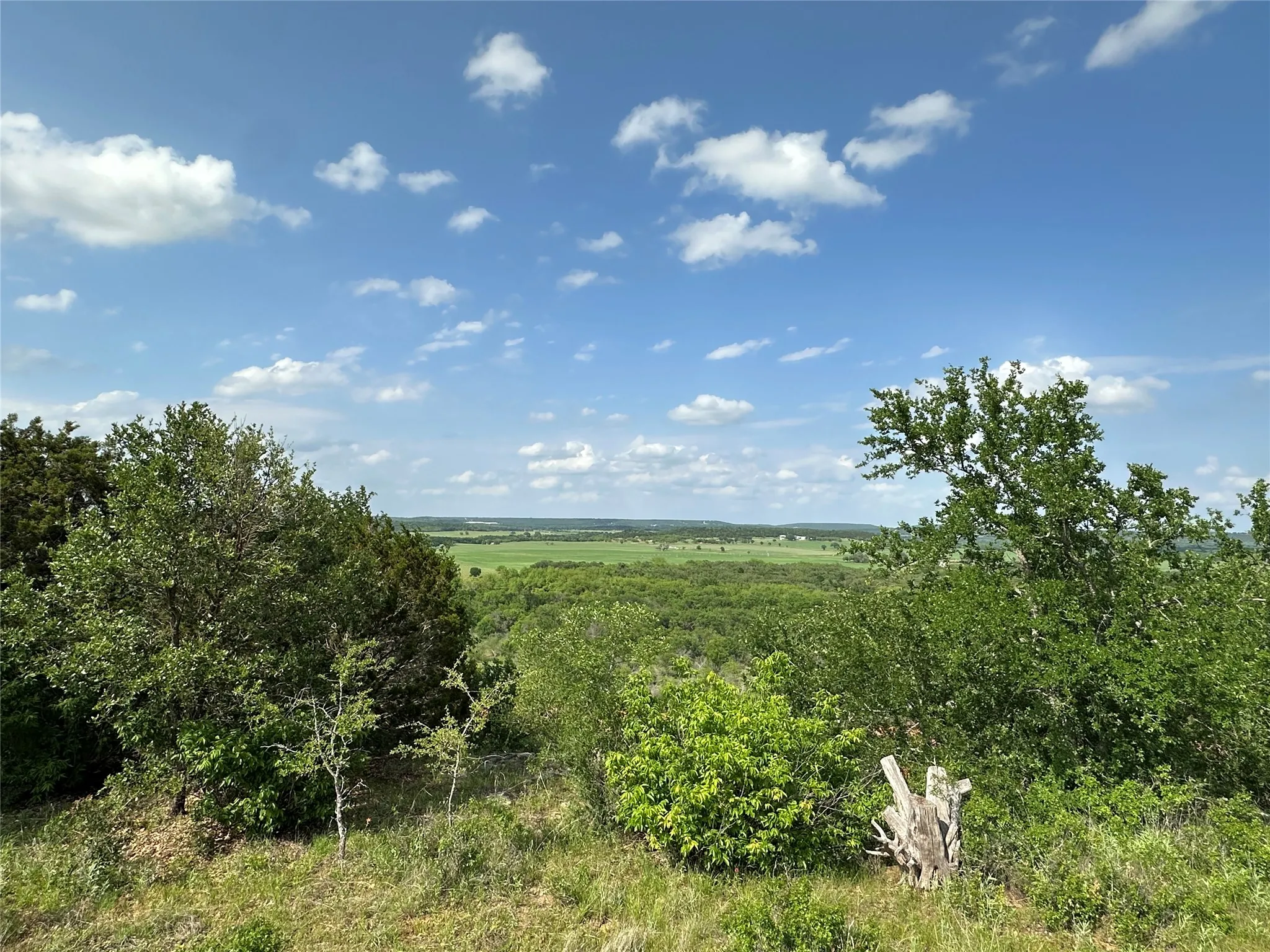 Expansive green landscape under a bright blue sky with scattered white clouds