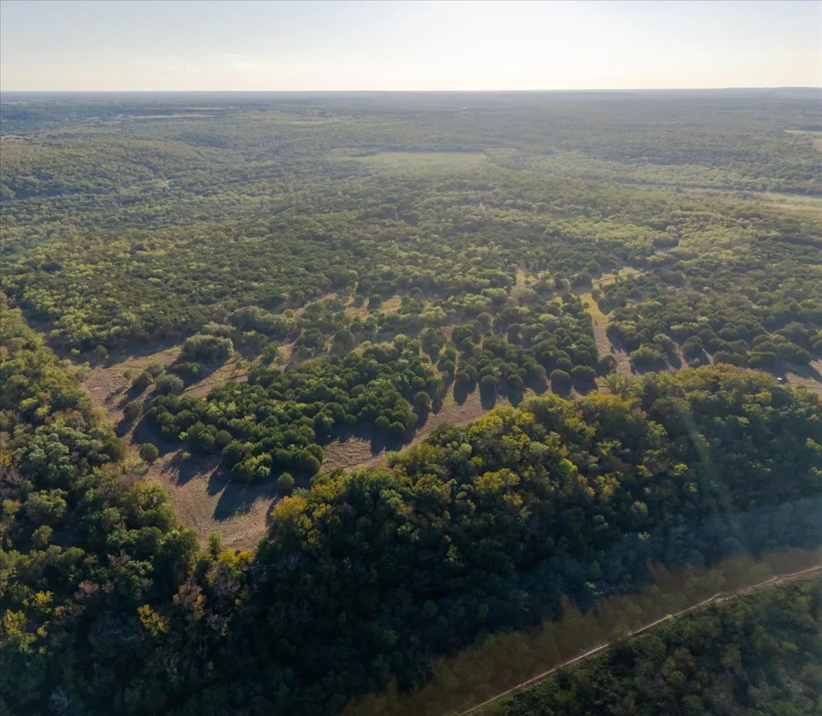 Expansive acreage featuring abundant mature trees and natural clearings