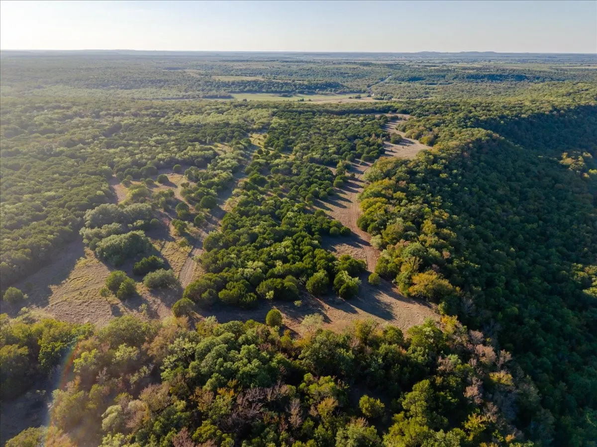 Expansive land featuring diverse tree coverage and varied topography