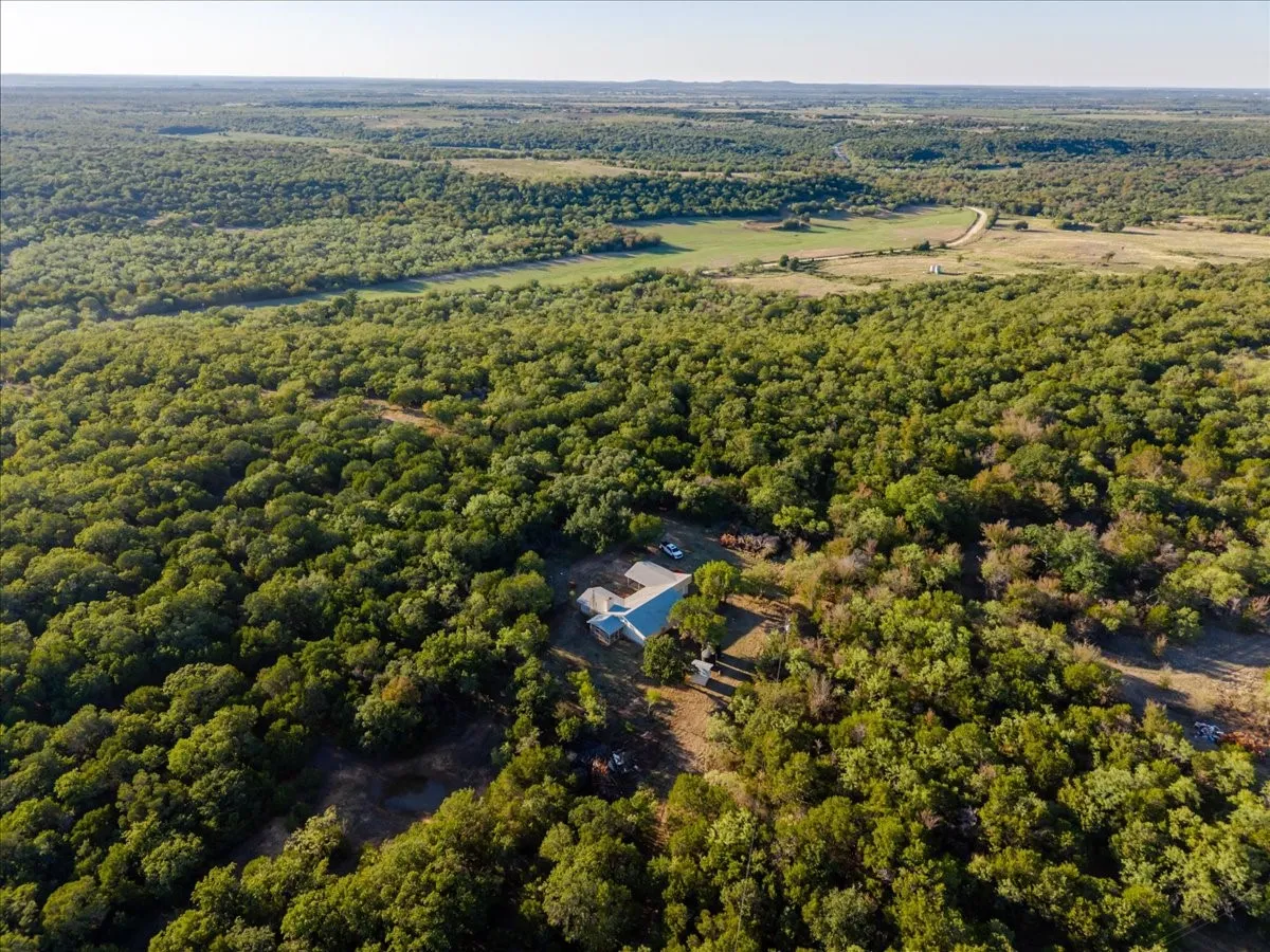 Expansive wooded landscape featuring a single-story residence with a light-colored roof, surrounded by mature trees