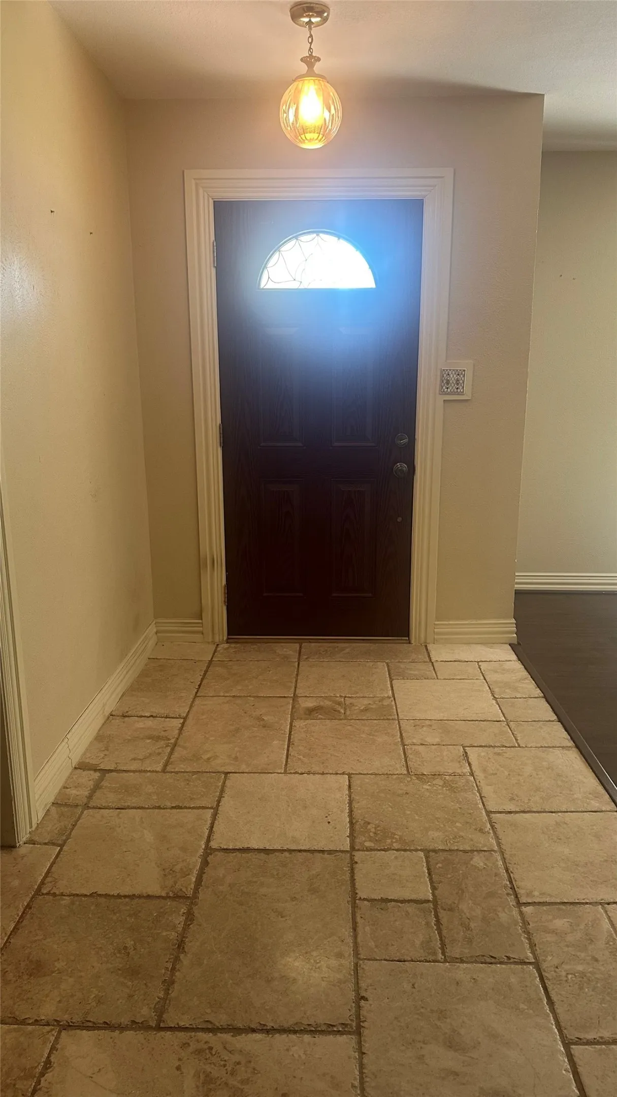 Entryway featuring varied-size floor tiles, a dark wood-finish door with a decorative glass insert, and an overhead pendant light fixture