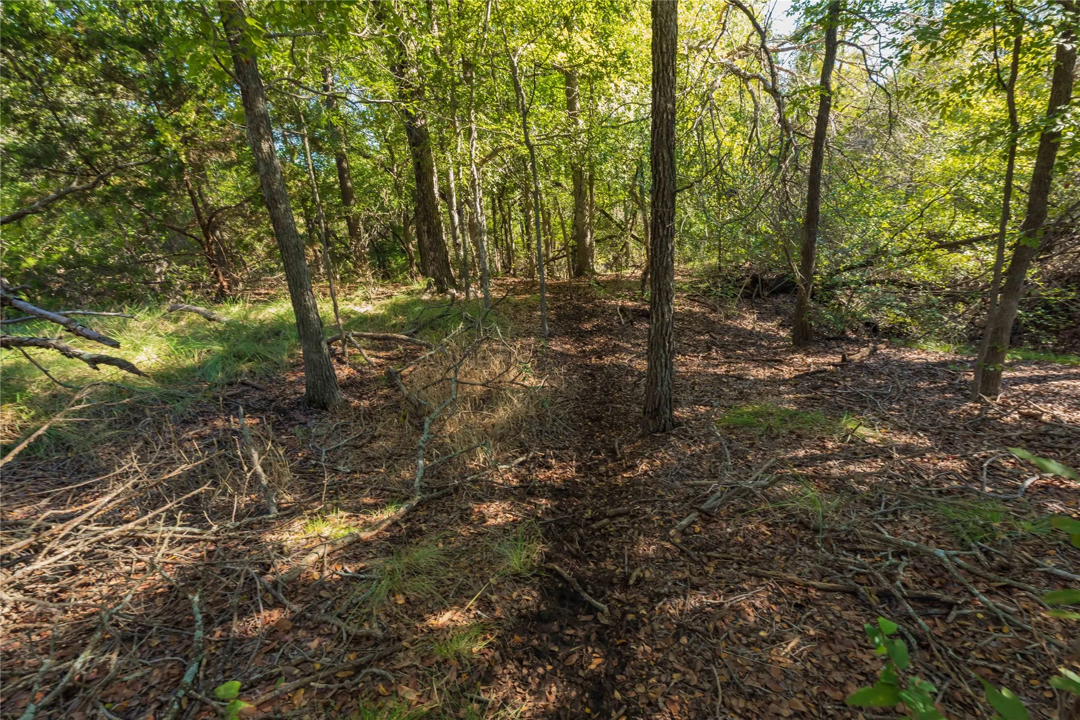 Ranch For Sale in Comanche County , 748 CR 350, Dublin, Texas 76446, 0, 0, Garage spaces, 0 Sqft, built in 0, mls#21405712, Real Estate Agent in Dublin, Homes For Sale in Comanche county, Homes For Sale in Dublin, Realtor in Dublin Texas, Real Estate Brokerage Independent Realty Texas, Luminita Cordes Realtor