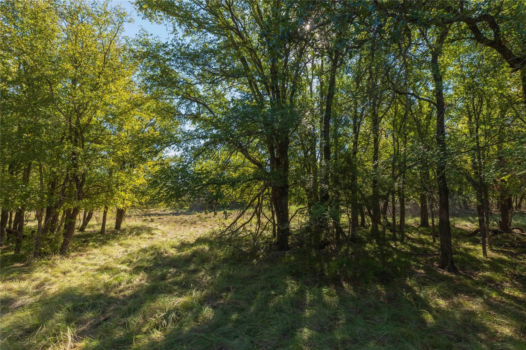 Ranch For Sale in Comanche County , 748 CR 350, Dublin, Texas 76446, 0, 0, Garage spaces, 0 Sqft, built in 0, mls#21405712, Real Estate Agent in Dublin, Homes For Sale in Comanche county, Homes For Sale in Dublin, Realtor in Dublin Texas, Real Estate Brokerage Independent Realty Texas, Luminita Cordes Realtor