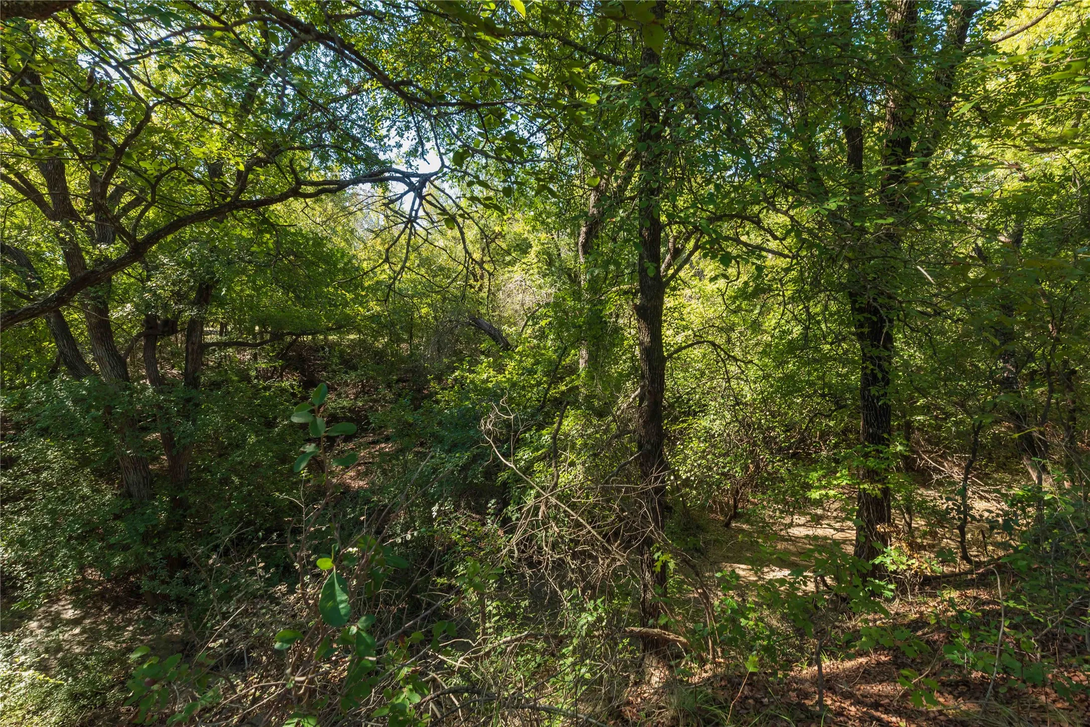 Ranch For Sale in Comanche County , 748 CR 350, Dublin, Texas 76446, 0, 0, Garage spaces, 0 Sqft, built in 0, mls#21405712, Real Estate Agent in Dublin, Homes For Sale in Comanche county, Homes For Sale in Dublin, Realtor in Dublin Texas, Real Estate Brokerage Independent Realty Texas, Luminita Cordes Realtor