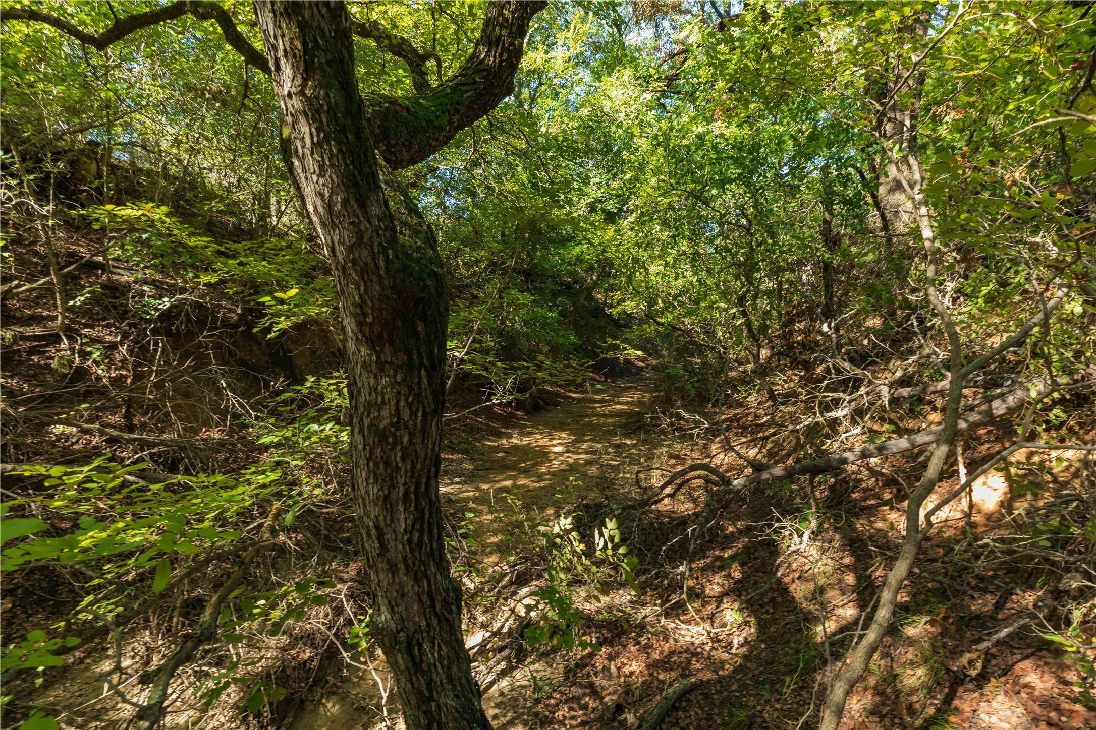 Ranch For Sale in Comanche County , 748 CR 350, Dublin, Texas 76446, 0, 0, Garage spaces, 0 Sqft, built in 0, mls#21405712, Real Estate Agent in Dublin, Homes For Sale in Comanche county, Homes For Sale in Dublin, Realtor in Dublin Texas, Real Estate Brokerage Independent Realty Texas, Luminita Cordes Realtor