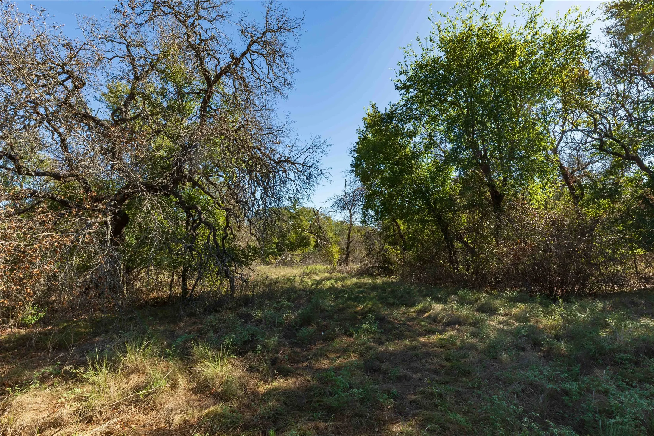 Ranch For Sale in Comanche County , 748 CR 350, Dublin, Texas 76446, 0, 0, Garage spaces, 0 Sqft, built in 0, mls#21405712, Real Estate Agent in Dublin, Homes For Sale in Comanche county, Homes For Sale in Dublin, Realtor in Dublin Texas, Real Estate Brokerage Independent Realty Texas, Luminita Cordes Realtor