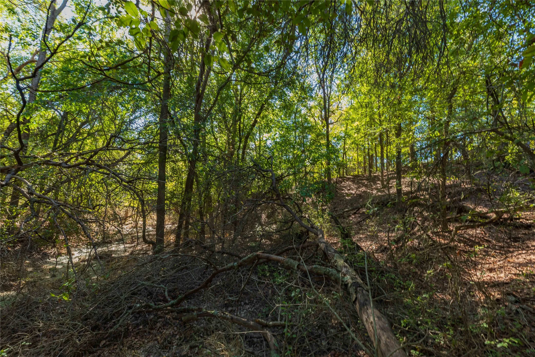 Ranch For Sale in Comanche County , 748 CR 350, Dublin, Texas 76446, 0, 0, Garage spaces, 0 Sqft, built in 0, mls#21405712, Real Estate Agent in Dublin, Homes For Sale in Comanche county, Homes For Sale in Dublin, Realtor in Dublin Texas, Real Estate Brokerage Independent Realty Texas, Luminita Cordes Realtor