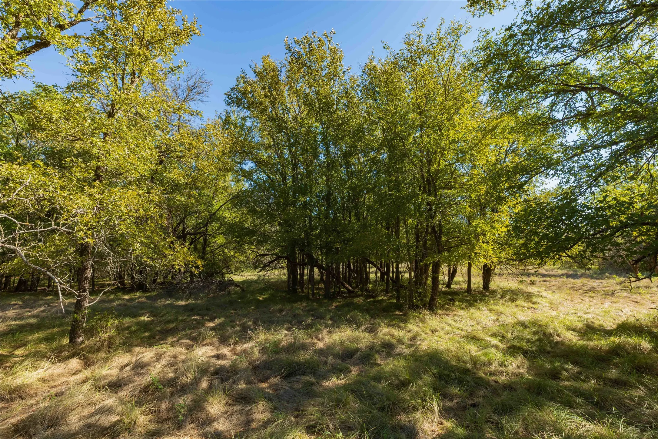Ranch For Sale in Comanche County , 748 CR 350, Dublin, Texas 76446, 0, 0, Garage spaces, 0 Sqft, built in 0, mls#21405712, Real Estate Agent in Dublin, Homes For Sale in Comanche county, Homes For Sale in Dublin, Realtor in Dublin Texas, Real Estate Brokerage Independent Realty Texas, Luminita Cordes Realtor