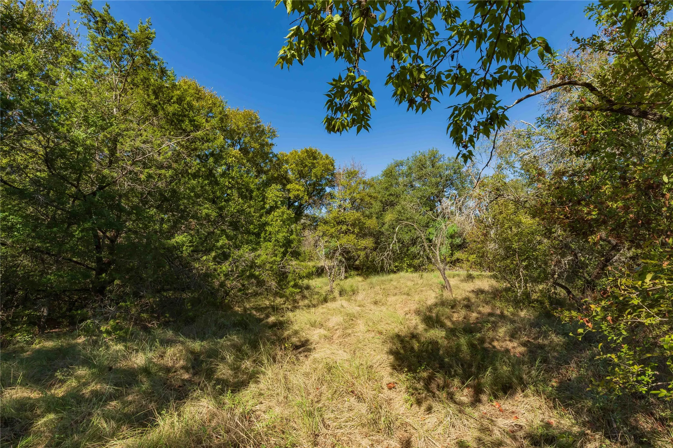 Ranch For Sale