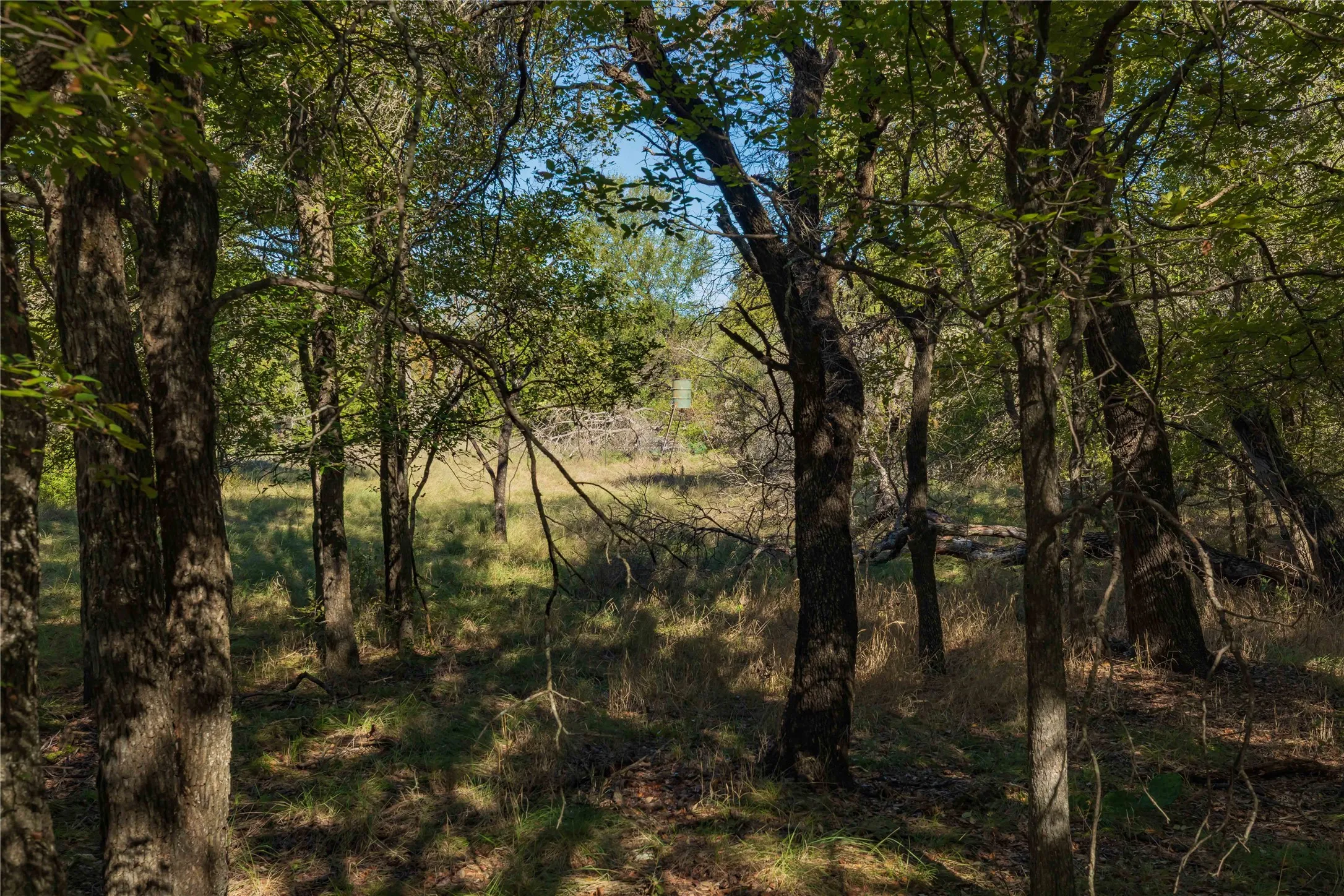 Ranch For Sale in Comanche County , 748 CR 350, Dublin, Texas 76446, 0, 0, Garage spaces, 0 Sqft, built in 0, mls#21405712, Real Estate Agent in Dublin, Homes For Sale in Comanche county, Homes For Sale in Dublin, Realtor in Dublin Texas, Real Estate Brokerage Independent Realty Texas, Luminita Cordes Realtor