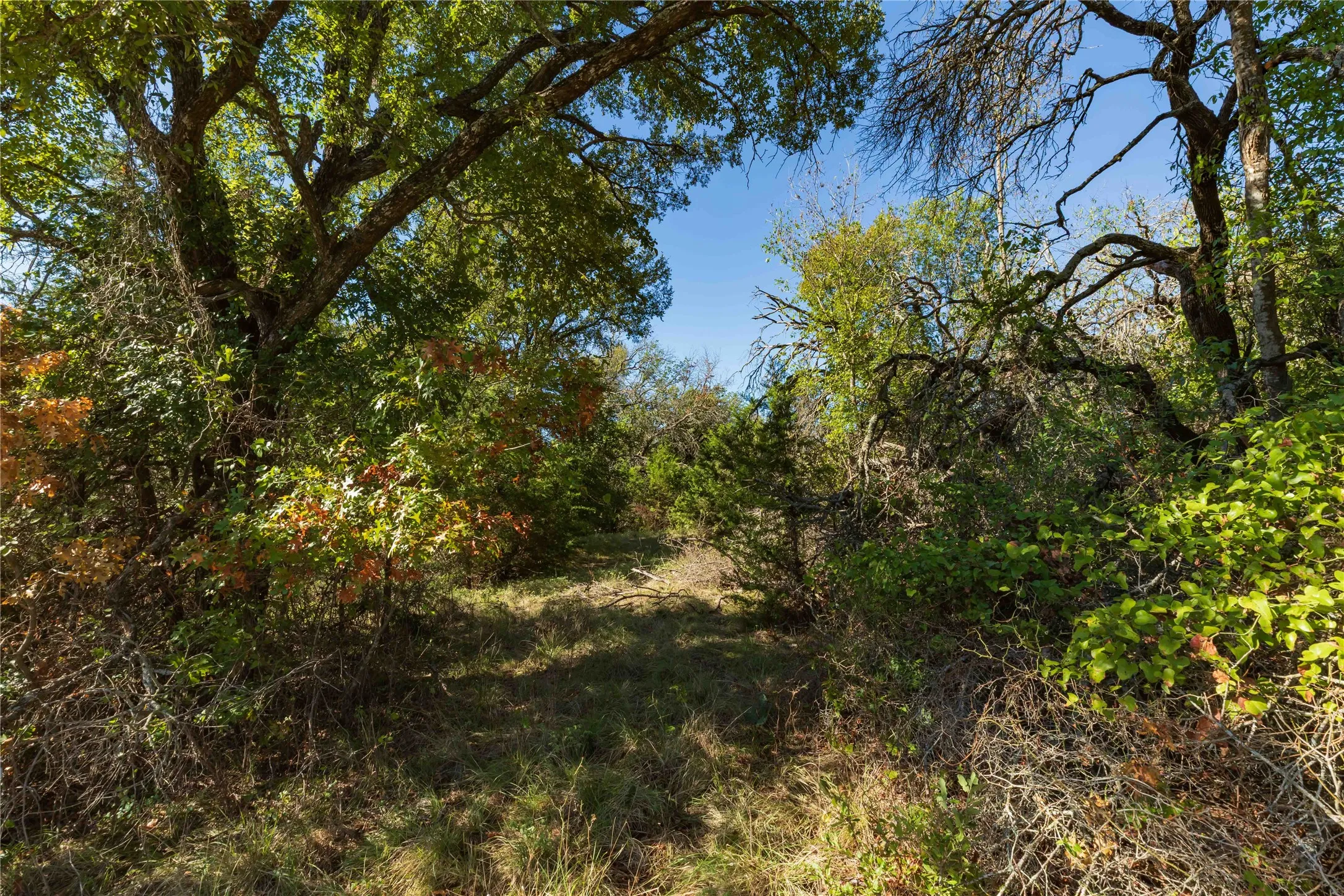Ranch For Sale in Comanche County , 748 CR 350, Dublin, Texas 76446, 0, 0, Garage spaces, 0 Sqft, built in 0, mls#21405712, Real Estate Agent in Dublin, Homes For Sale in Comanche county, Homes For Sale in Dublin, Realtor in Dublin Texas, Real Estate Brokerage Independent Realty Texas, Luminita Cordes Realtor