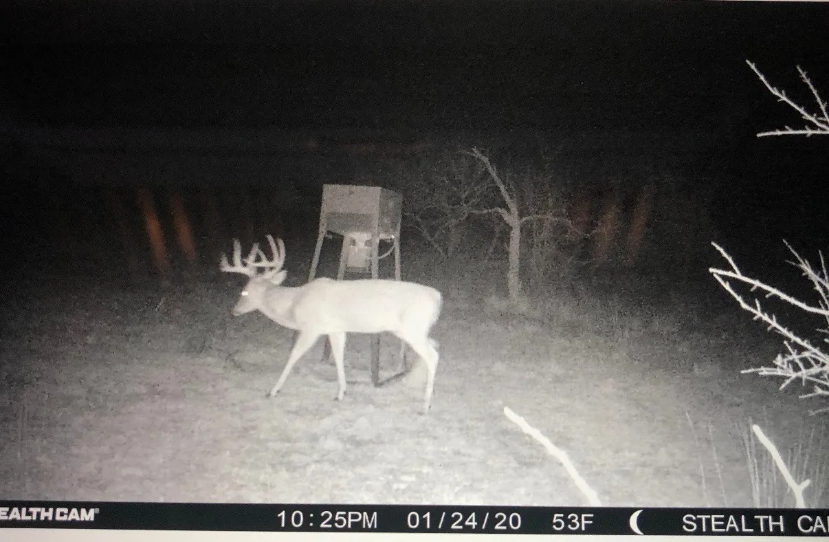Ranch For Sale in Comanche County , 748 CR 350, Dublin, Texas 76446, 0, 0, Garage spaces, 0 Sqft, built in 0, mls#21405712, Real Estate Agent in Dublin, Homes For Sale in Comanche county, Homes For Sale in Dublin, Realtor in Dublin Texas, Real Estate Brokerage Independent Realty Texas, Luminita Cordes Realtor