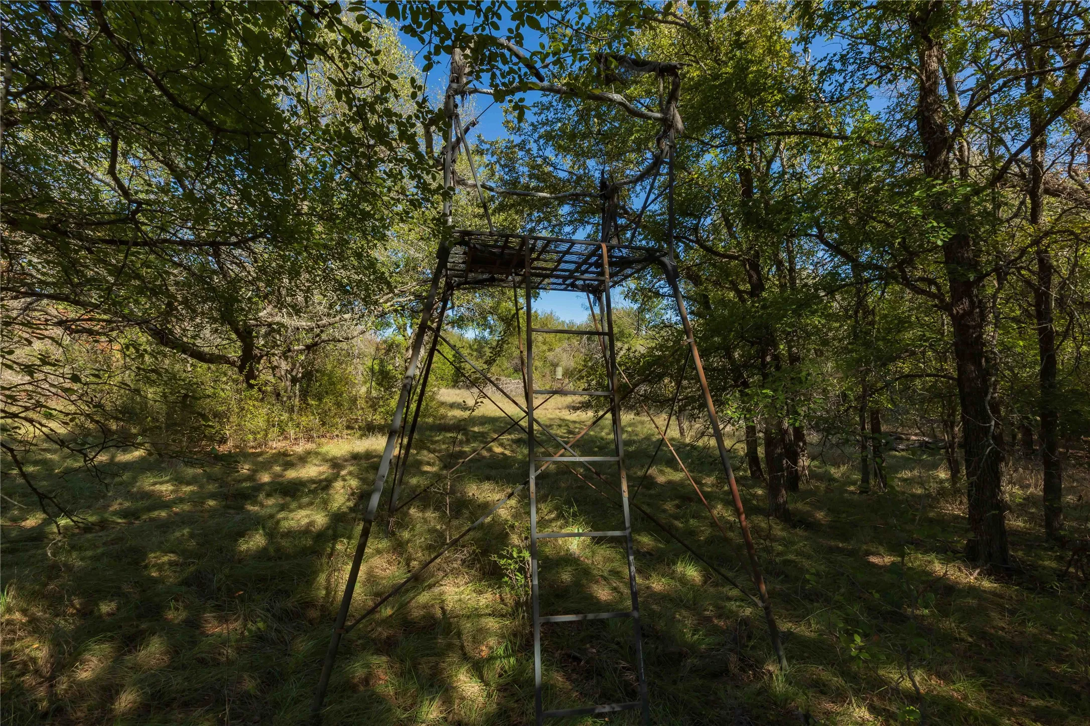 Ranch For Sale in Comanche County , 748 CR 350, Dublin, Texas 76446, 0, 0, Garage spaces, 0 Sqft, built in 0, mls#21405712, Real Estate Agent in Dublin, Homes For Sale in Comanche county, Homes For Sale in Dublin, Realtor in Dublin Texas, Real Estate Brokerage Independent Realty Texas, Luminita Cordes Realtor