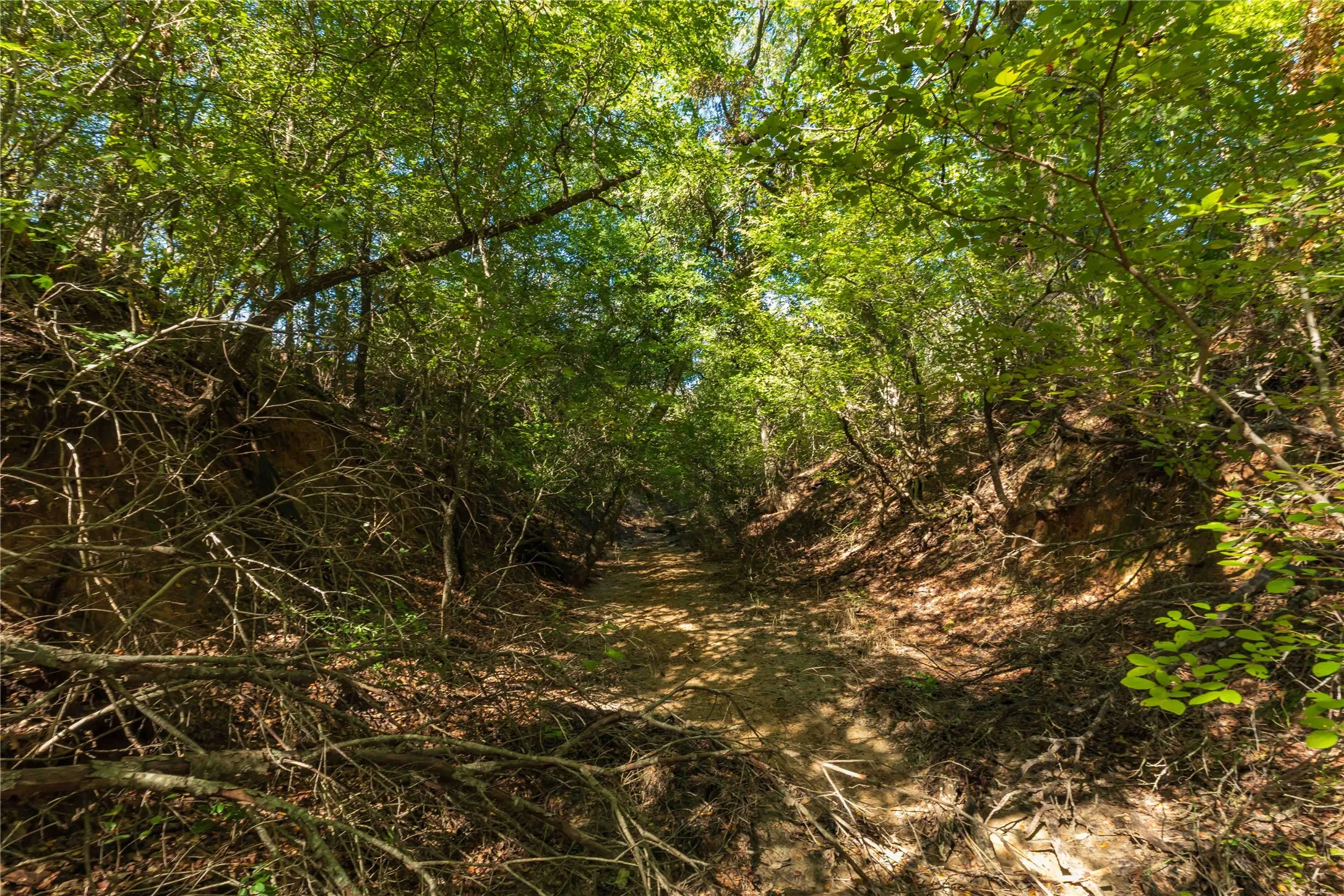 Ranch For Sale in Comanche County , 748 CR 350, Dublin, Texas 76446, 0, 0, Garage spaces, 0 Sqft, built in 0, mls#21405712, Real Estate Agent in Dublin, Homes For Sale in Comanche county, Homes For Sale in Dublin, Realtor in Dublin Texas, Real Estate Brokerage Independent Realty Texas, Luminita Cordes Realtor