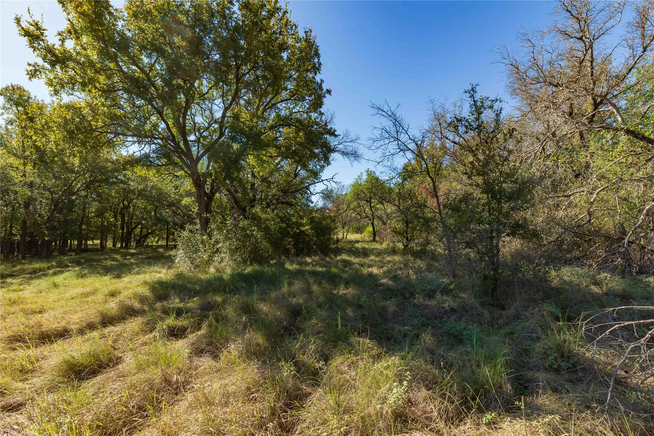 Ranch For Sale in Comanche County , 748 CR 350, Dublin, Texas 76446, 0, 0, Garage spaces, 0 Sqft, built in 0, mls#21405712, Real Estate Agent in Dublin, Homes For Sale in Comanche county, Homes For Sale in Dublin, Realtor in Dublin Texas, Real Estate Brokerage Independent Realty Texas, Luminita Cordes Realtor