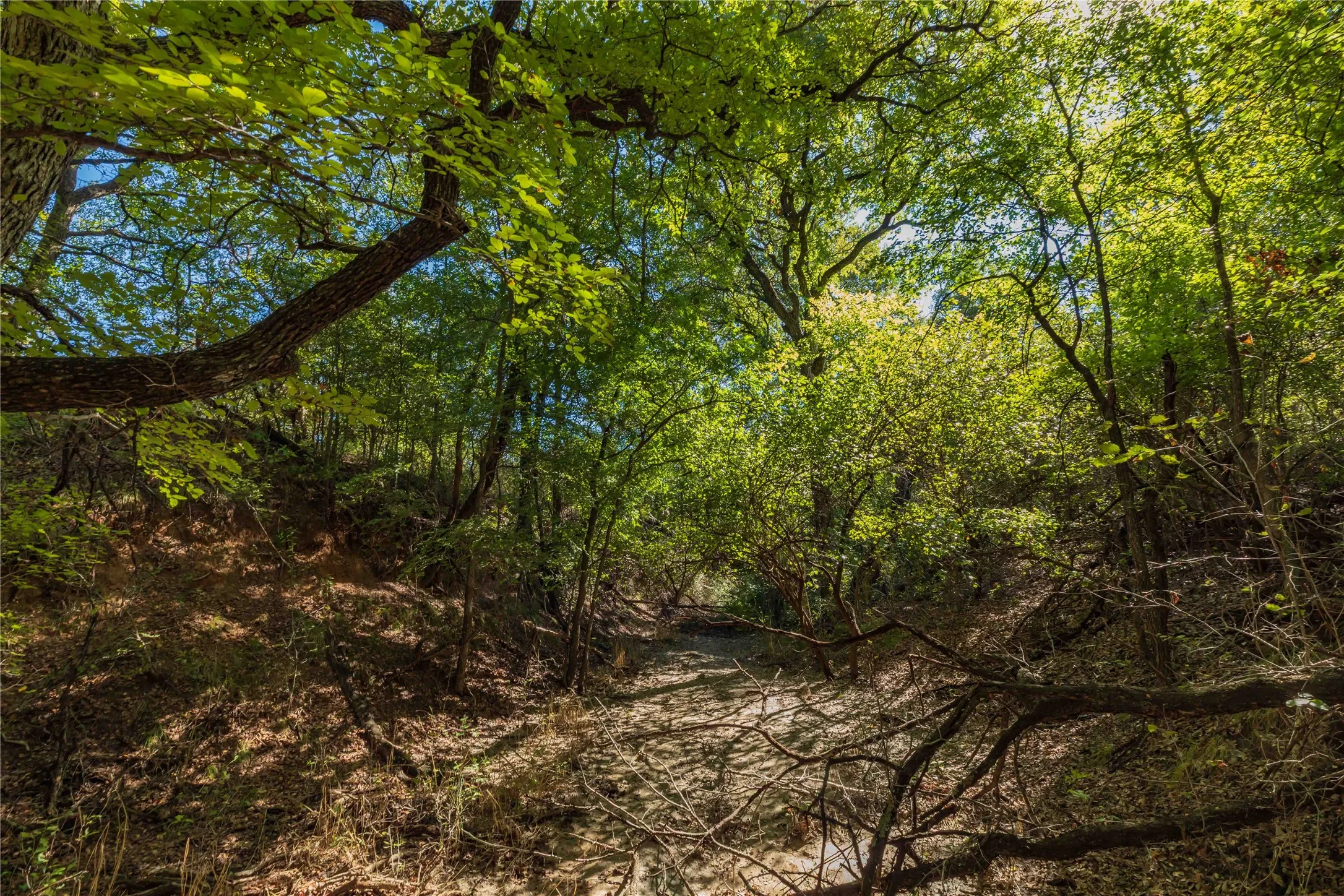 Ranch For Sale in Comanche County , 748 CR 350, Dublin, Texas 76446, 0, 0, Garage spaces, 0 Sqft, built in 0, mls#21405712, Real Estate Agent in Dublin, Homes For Sale in Comanche county, Homes For Sale in Dublin, Realtor in Dublin Texas, Real Estate Brokerage Independent Realty Texas, Luminita Cordes Realtor