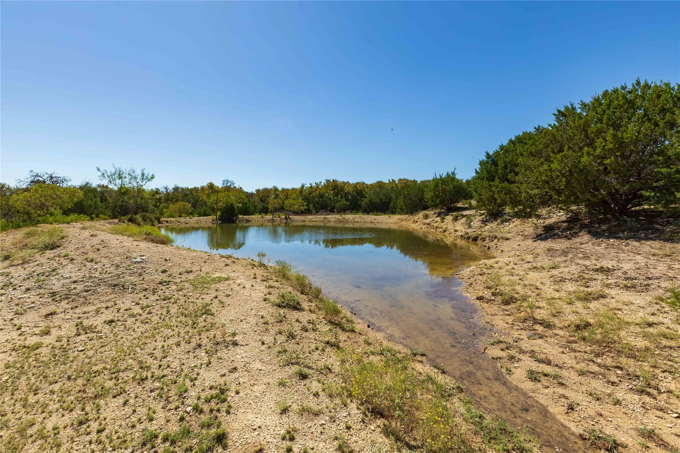 Ranch For Sale in Comanche County , 748 CR 350, Dublin, Texas 76446, 0, 0, Garage spaces, 0 Sqft, built in 0, mls#21405712, Real Estate Agent in Dublin, Homes For Sale in Comanche county, Homes For Sale in Dublin, Realtor in Dublin Texas, Real Estate Brokerage Independent Realty Texas, Luminita Cordes Realtor