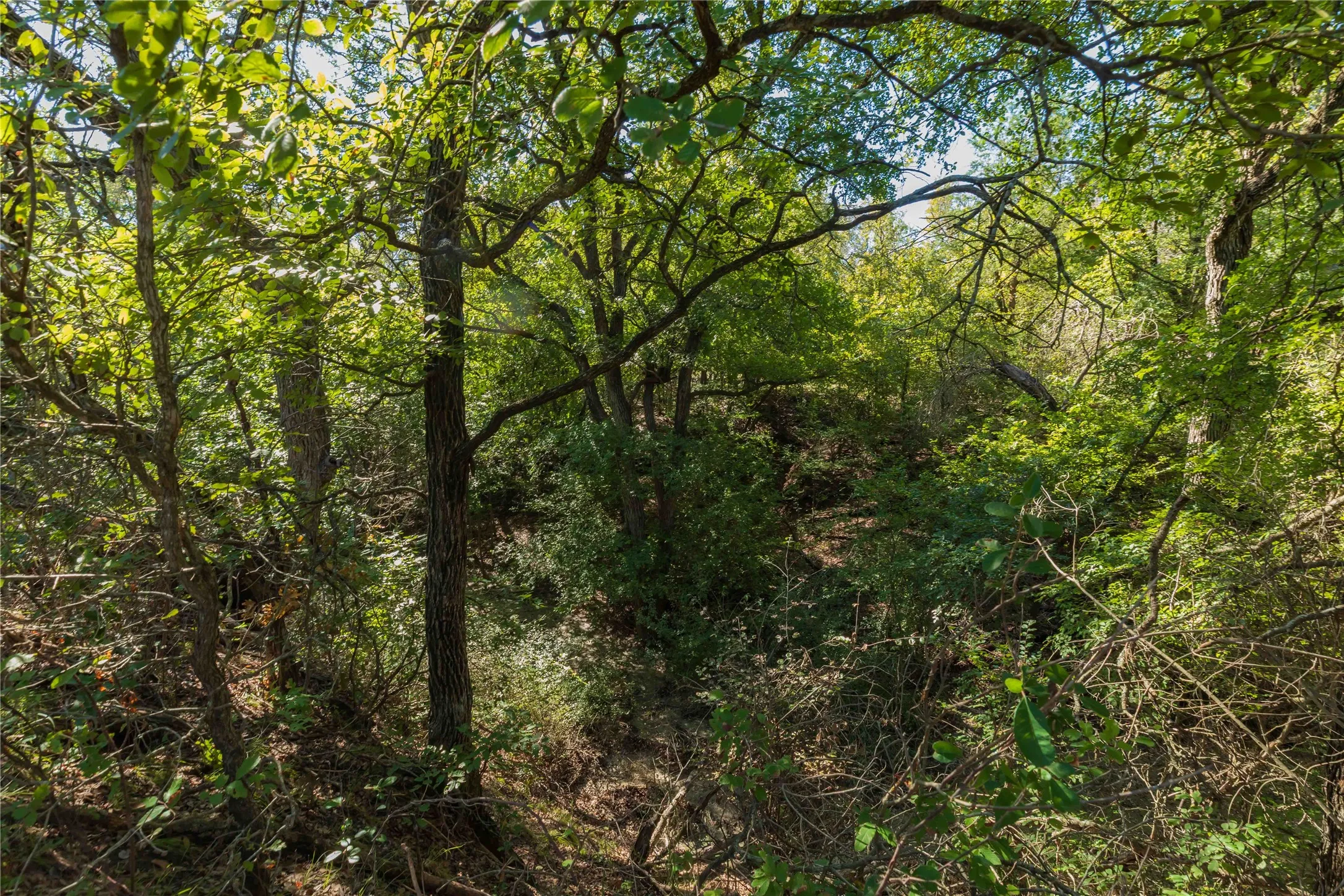Ranch For Sale in Comanche County , 748 CR 350, Dublin, Texas 76446, 0, 0, Garage spaces, 0 Sqft, built in 0, mls#21405712, Real Estate Agent in Dublin, Homes For Sale in Comanche county, Homes For Sale in Dublin, Realtor in Dublin Texas, Real Estate Brokerage Independent Realty Texas, Luminita Cordes Realtor