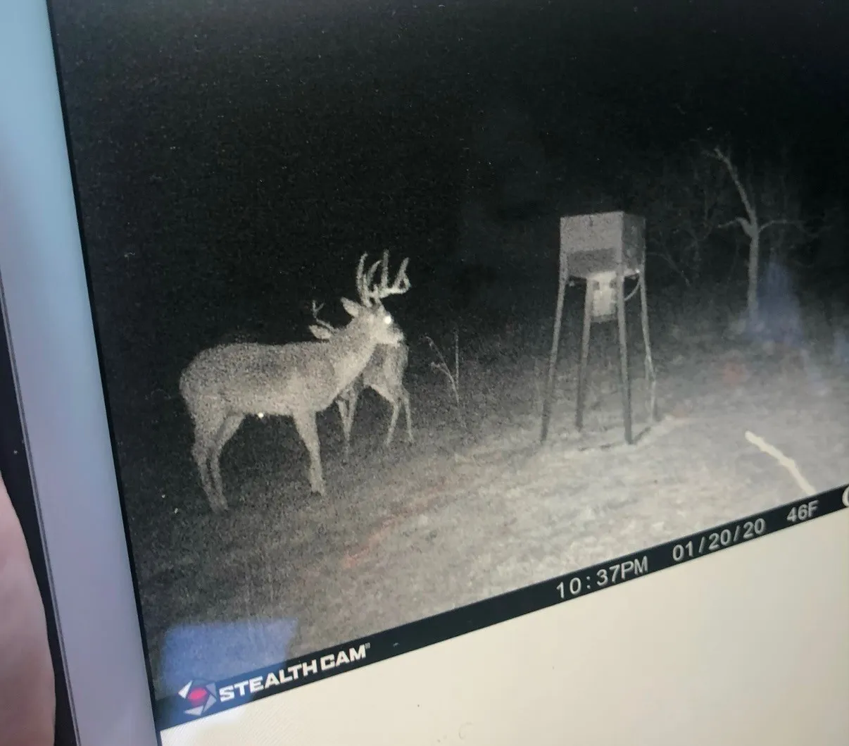 Ranch For Sale in Comanche County , 748 CR 350, Dublin, Texas 76446, 0, 0, Garage spaces, 0 Sqft, built in 0, mls#21405712, Real Estate Agent in Dublin, Homes For Sale in Comanche county, Homes For Sale in Dublin, Realtor in Dublin Texas, Real Estate Brokerage Independent Realty Texas, Luminita Cordes Realtor