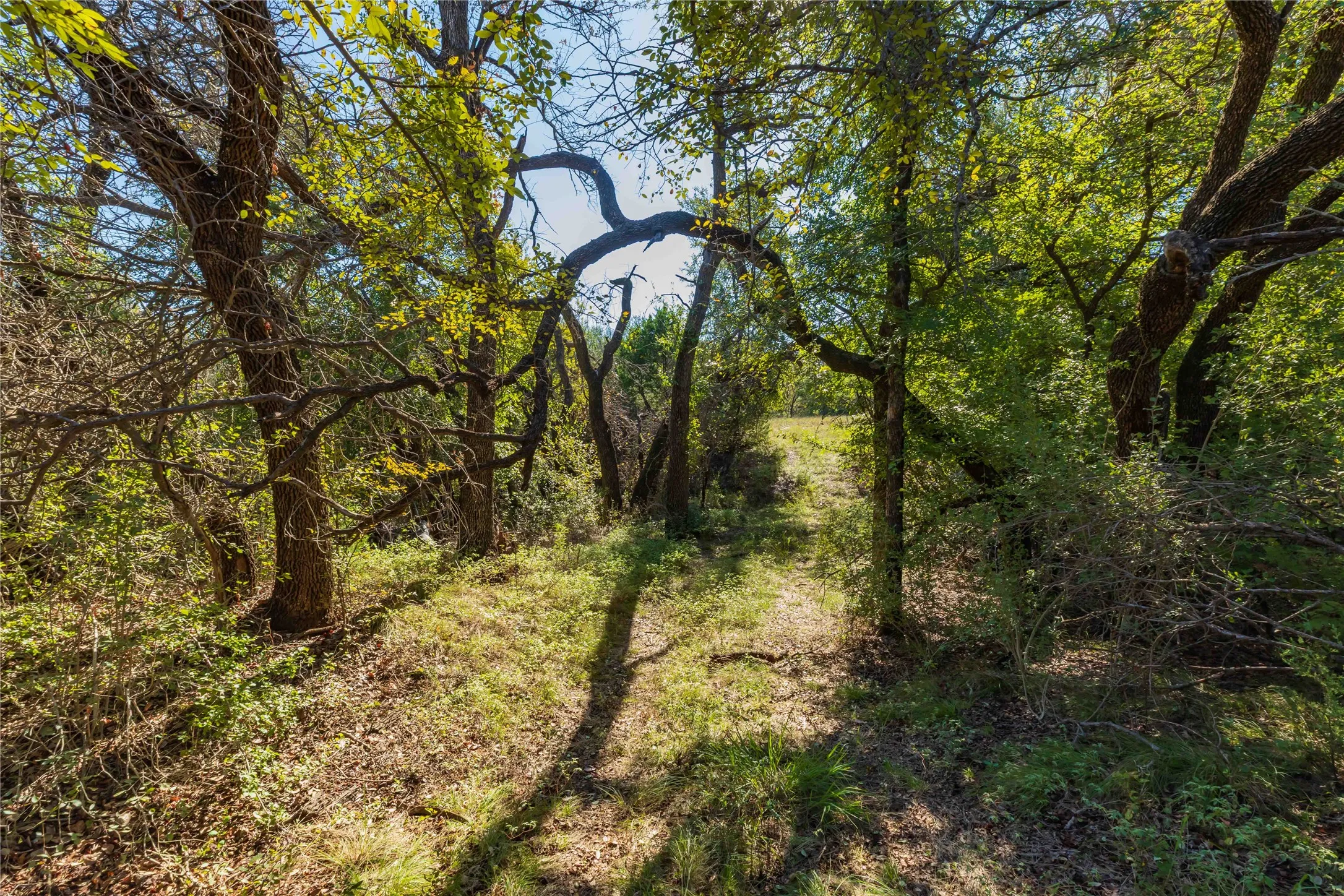 Ranch For Sale in Comanche County , 748 CR 350, Dublin, Texas 76446, 0, 0, Garage spaces, 0 Sqft, built in 0, mls#21405712, Real Estate Agent in Dublin, Homes For Sale in Comanche county, Homes For Sale in Dublin, Realtor in Dublin Texas, Real Estate Brokerage Independent Realty Texas, Luminita Cordes Realtor