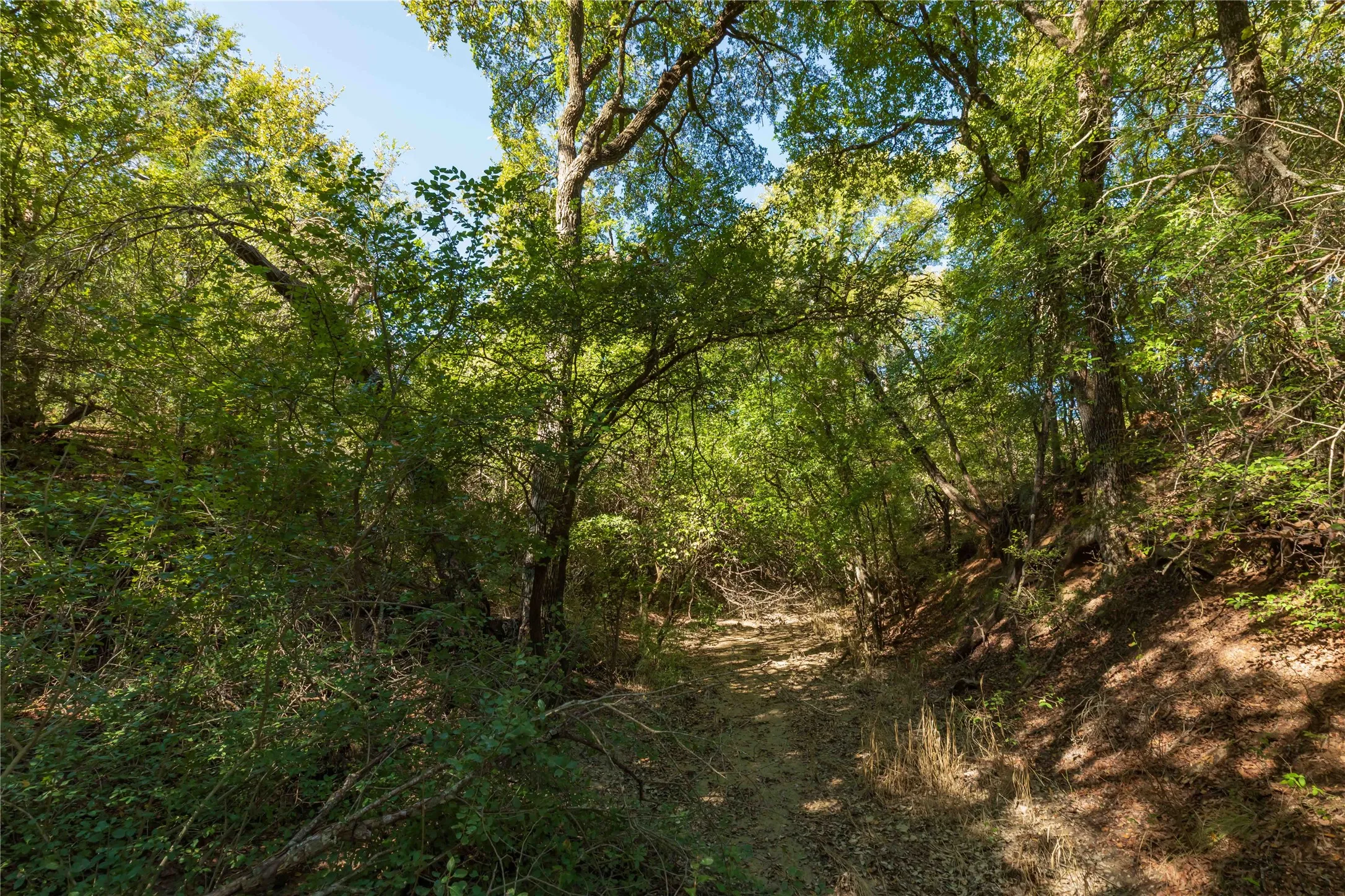 Ranch For Sale in Comanche County , 748 CR 350, Dublin, Texas 76446, 0, 0, Garage spaces, 0 Sqft, built in 0, mls#21405712, Real Estate Agent in Dublin, Homes For Sale in Comanche county, Homes For Sale in Dublin, Realtor in Dublin Texas, Real Estate Brokerage Independent Realty Texas, Luminita Cordes Realtor