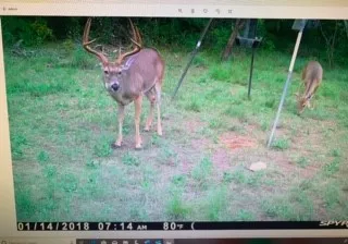 Ranch For Sale in Comanche County , 748 CR 350, Dublin, Texas 76446, 0, 0, Garage spaces, 0 Sqft, built in 0, mls#21405712, Real Estate Agent in Dublin, Homes For Sale in Comanche county, Homes For Sale in Dublin, Realtor in Dublin Texas, Real Estate Brokerage Independent Realty Texas, Luminita Cordes Realtor