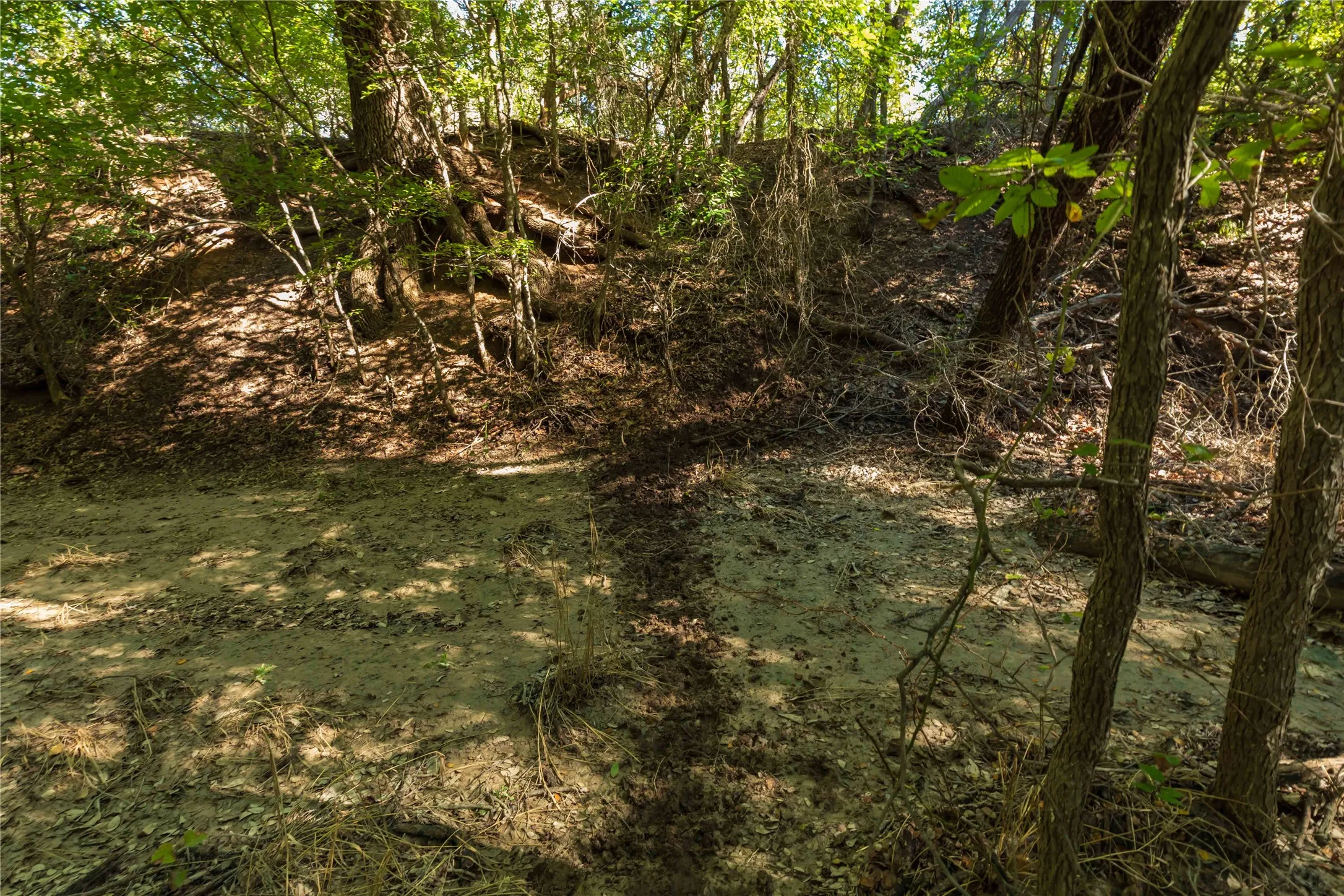 Ranch For Sale in Comanche County , 748 CR 350, Dublin, Texas 76446, 0, 0, Garage spaces, 0 Sqft, built in 0, mls#21405712, Real Estate Agent in Dublin, Homes For Sale in Comanche county, Homes For Sale in Dublin, Realtor in Dublin Texas, Real Estate Brokerage Independent Realty Texas, Luminita Cordes Realtor