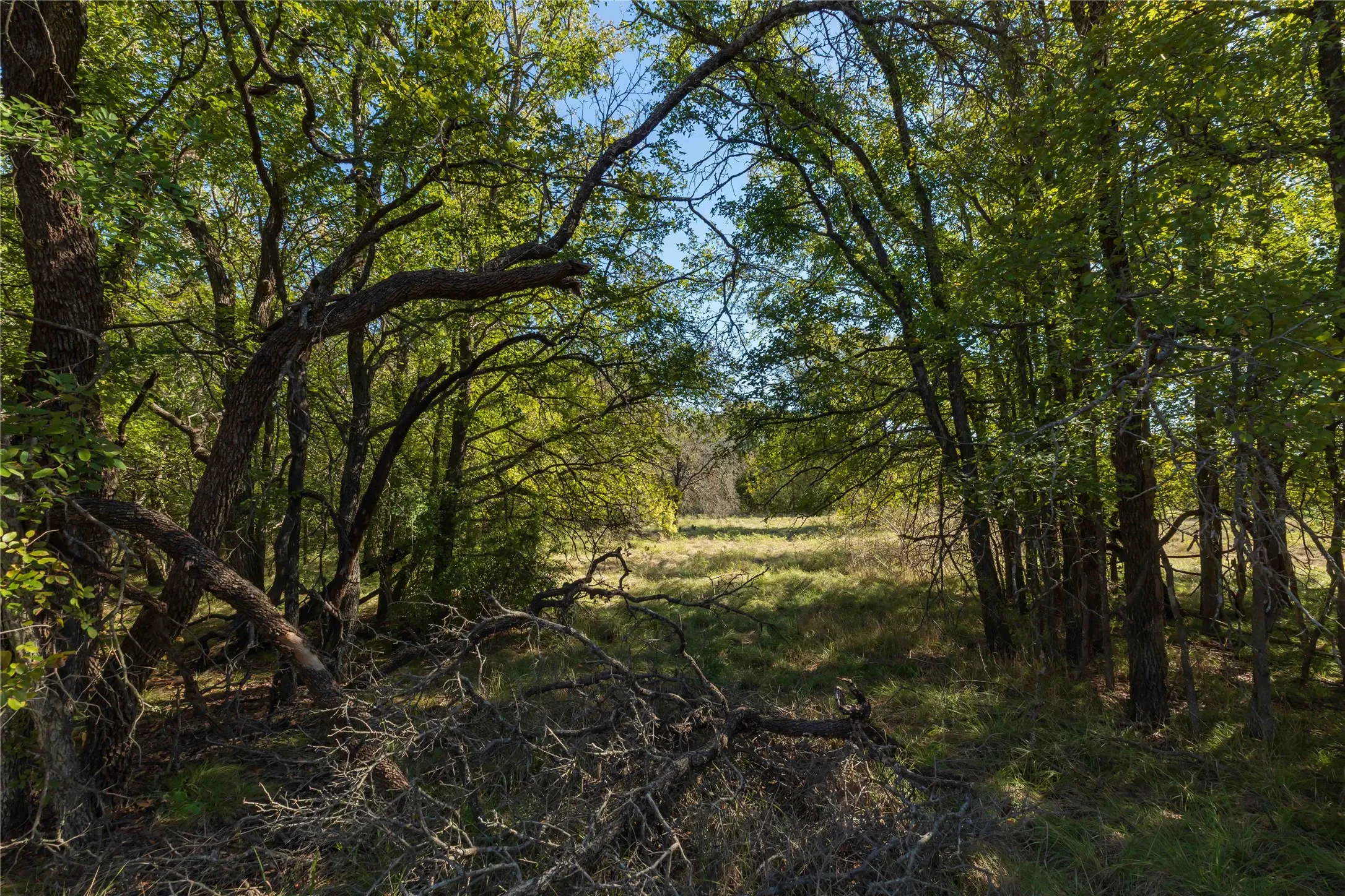 Ranch For Sale in Comanche County , 748 CR 350, Dublin, Texas 76446, 0, 0, Garage spaces, 0 Sqft, built in 0, mls#21405712, Real Estate Agent in Dublin, Homes For Sale in Comanche county, Homes For Sale in Dublin, Realtor in Dublin Texas, Real Estate Brokerage Independent Realty Texas, Luminita Cordes Realtor