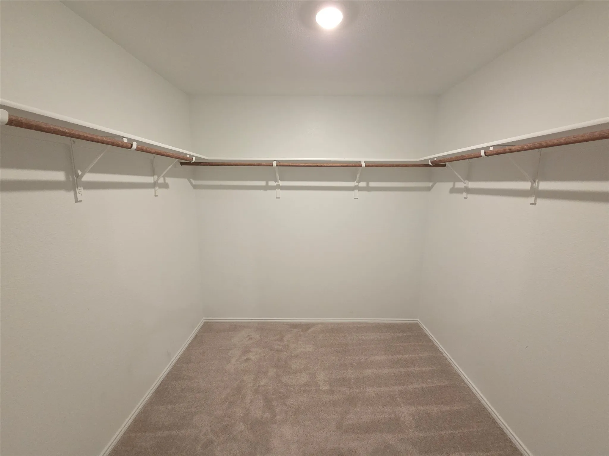 Walk-in closet with overhead lighting, carpet flooring, and a wrap-around shelving and hanging rod system