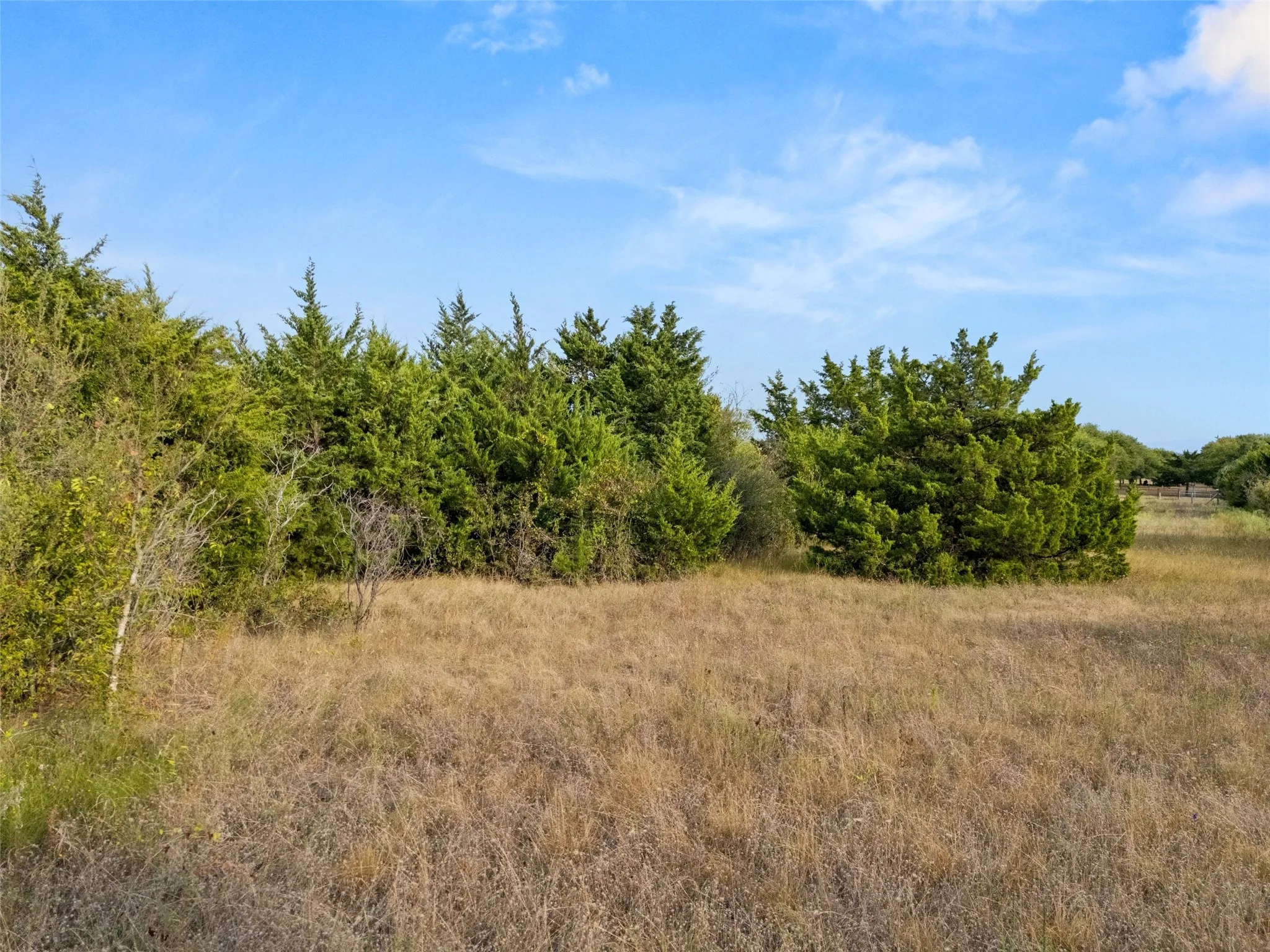 Unimproved Land For Sale in Mc Lennan County , 000 Hodge, Eddy, Texas 76524, 0, 0, Garage spaces, 0 Sqft, built in 0, mls#21407644, Real Estate Agent in Eddy, Homes For Sale in Mc Lennan county, Homes For Sale in Eddy, Realtor in Eddy Texas, Real Estate Brokerage Independent Realty Texas, Luminita Cordes Realtor