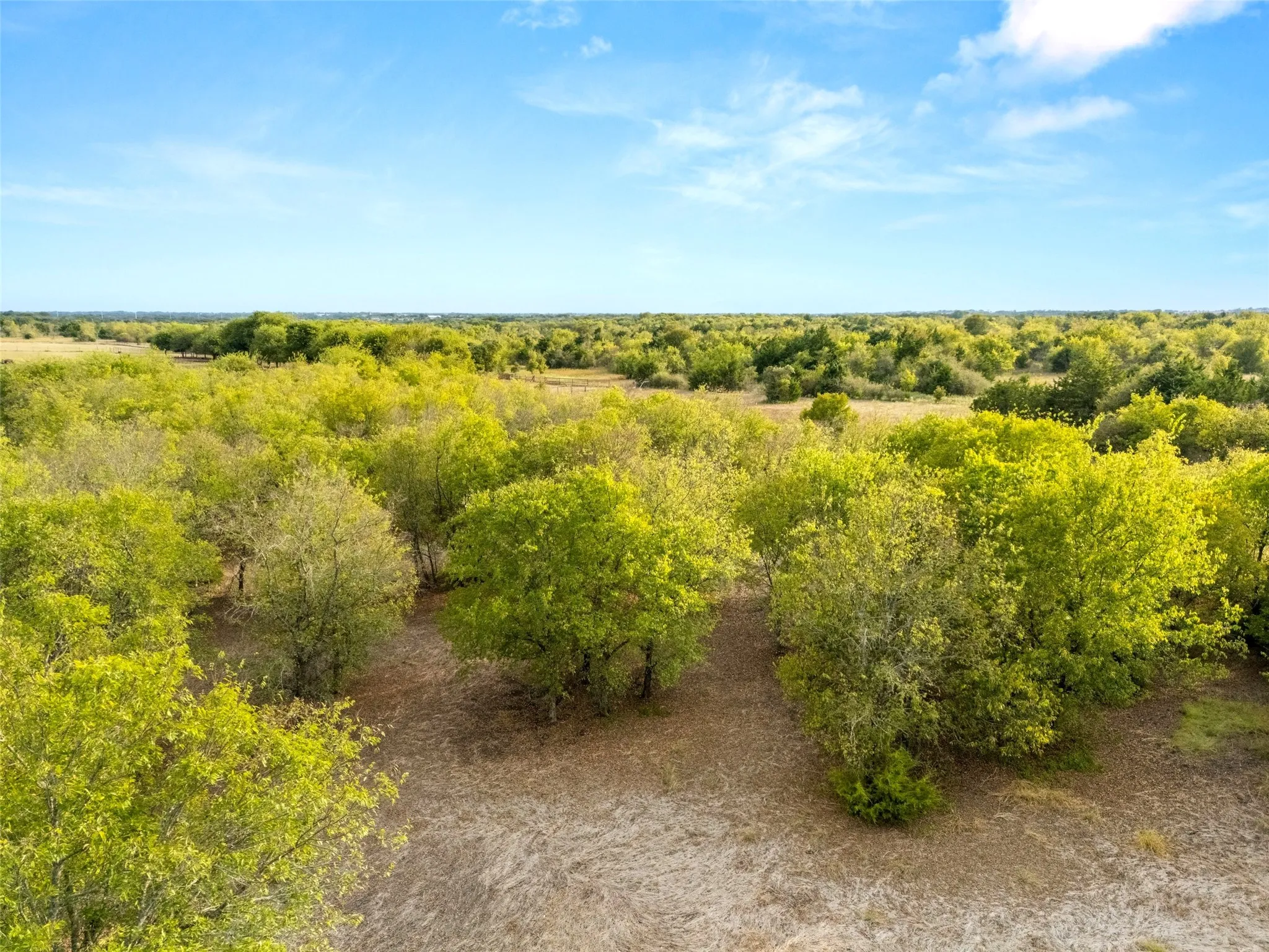 Unimproved Land For Sale in Mc Lennan County , 000 Hodge, Eddy, Texas 76524, 0, 0, Garage spaces, 0 Sqft, built in 0, mls#21407644, Real Estate Agent in Eddy, Homes For Sale in Mc Lennan county, Homes For Sale in Eddy, Realtor in Eddy Texas, Real Estate Brokerage Independent Realty Texas, Luminita Cordes Realtor