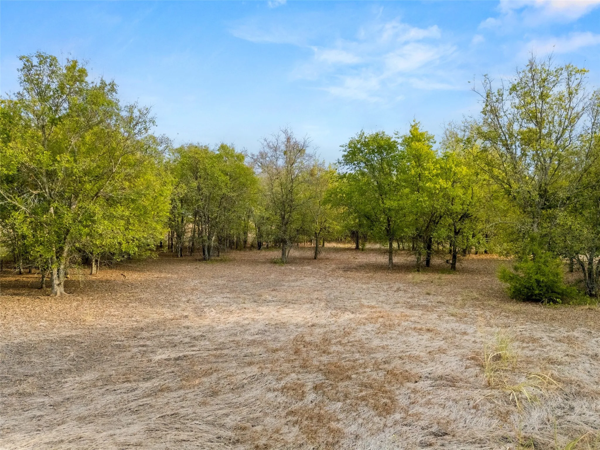 Unimproved Land For Sale in Mc Lennan County , 000 Hodge, Eddy, Texas 76524, 0, 0, Garage spaces, 0 Sqft, built in 0, mls#21407644, Real Estate Agent in Eddy, Homes For Sale in Mc Lennan county, Homes For Sale in Eddy, Realtor in Eddy Texas, Real Estate Brokerage Independent Realty Texas, Luminita Cordes Realtor