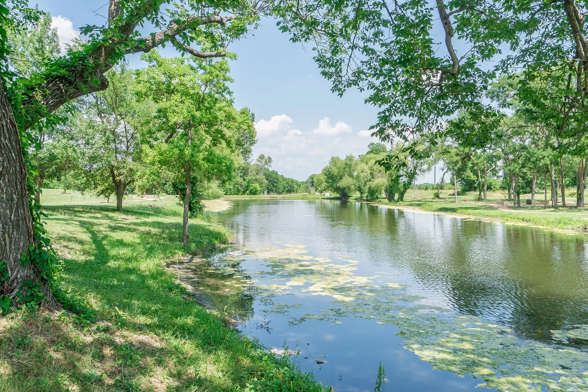 Single Family Residence For Sale in Collin County , 313 Mimosa Drive, Murphy, Texas 75094, 3 Bedroom, 2 Bathroom, 2 Garage spaces, 2,536 Sqft, built in 2000, mls#21406366, Real Estate Agent in Murphy, Homes For Sale in Collin county, Homes For Sale in Murphy, Realtor in Murphy Texas, Real Estate Brokerage Independent Realty Texas, Luminita Cordes Realtor